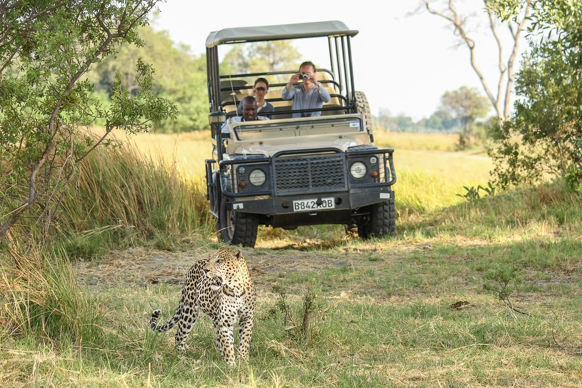 Walking safari in Okavango Delta - Day 4 of Botswana Family Tour