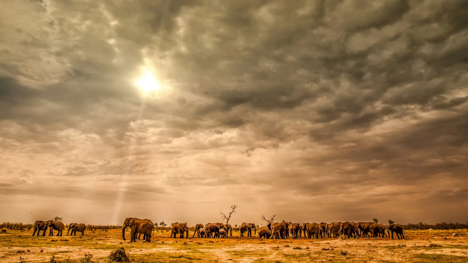 Botswana Family Tour Package - 7 Days & 6 Nights tour package