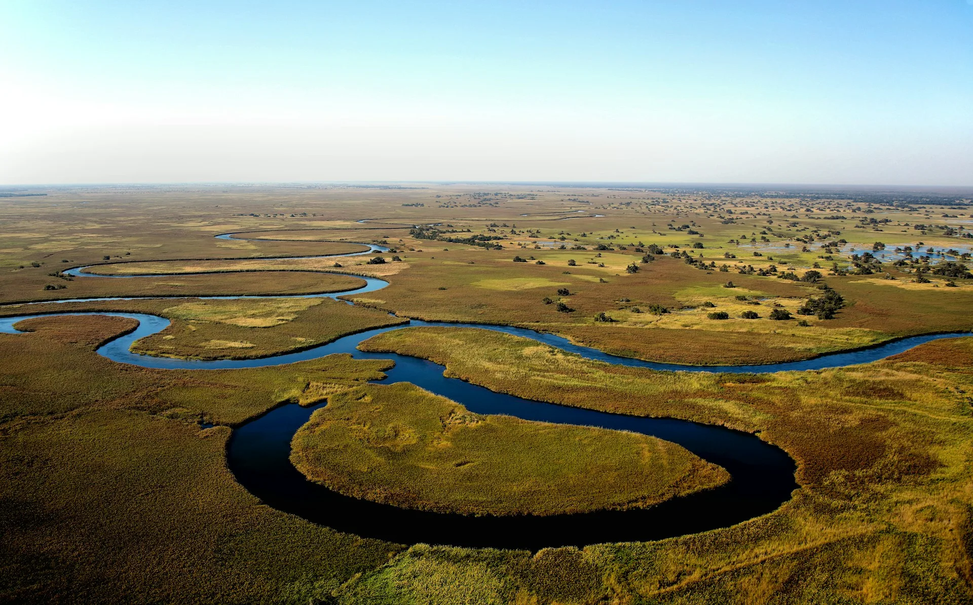 Aerial view of Okavango Delta channels