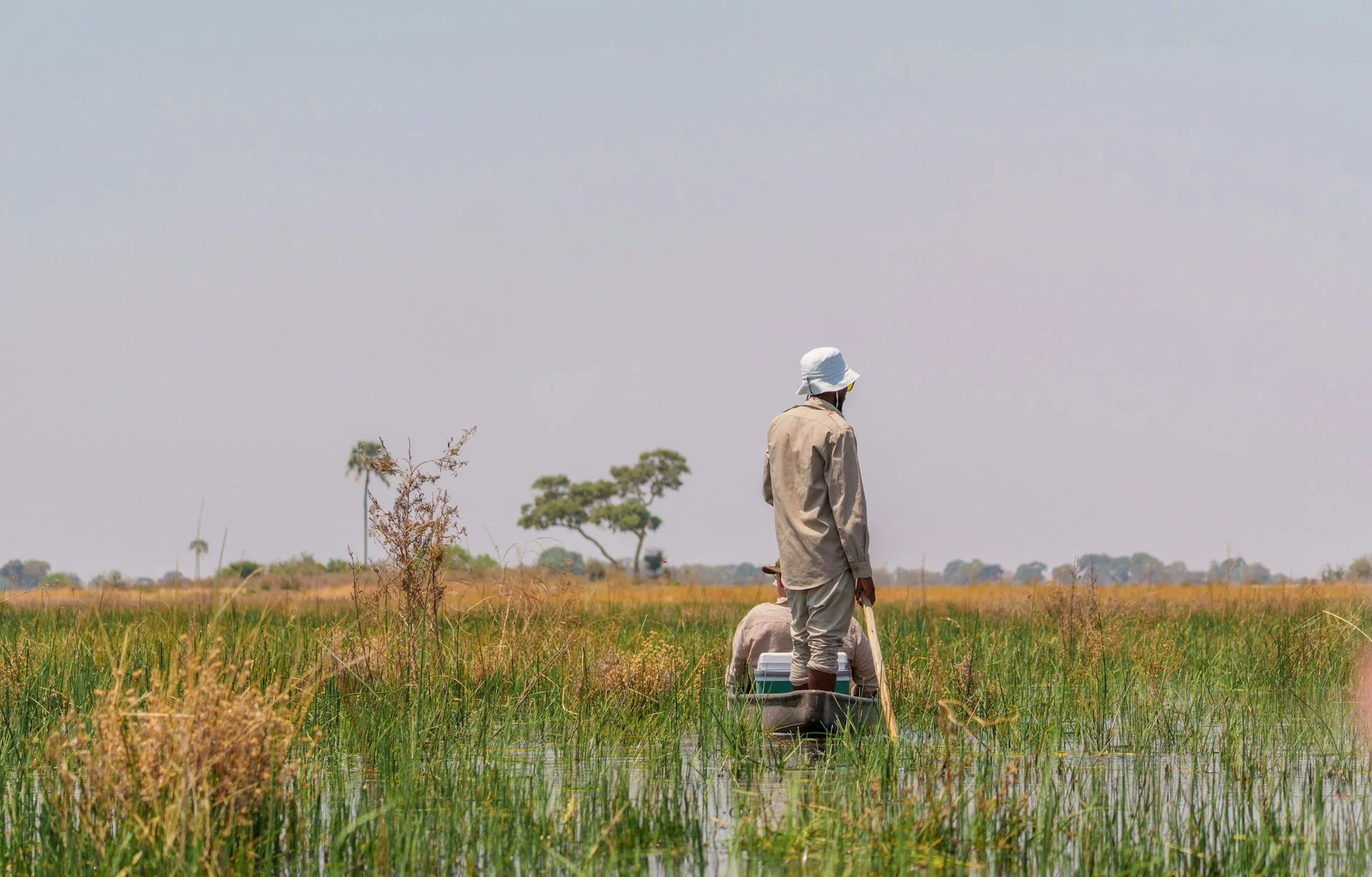 Mokoro canoe in misty Okavango Delta channel