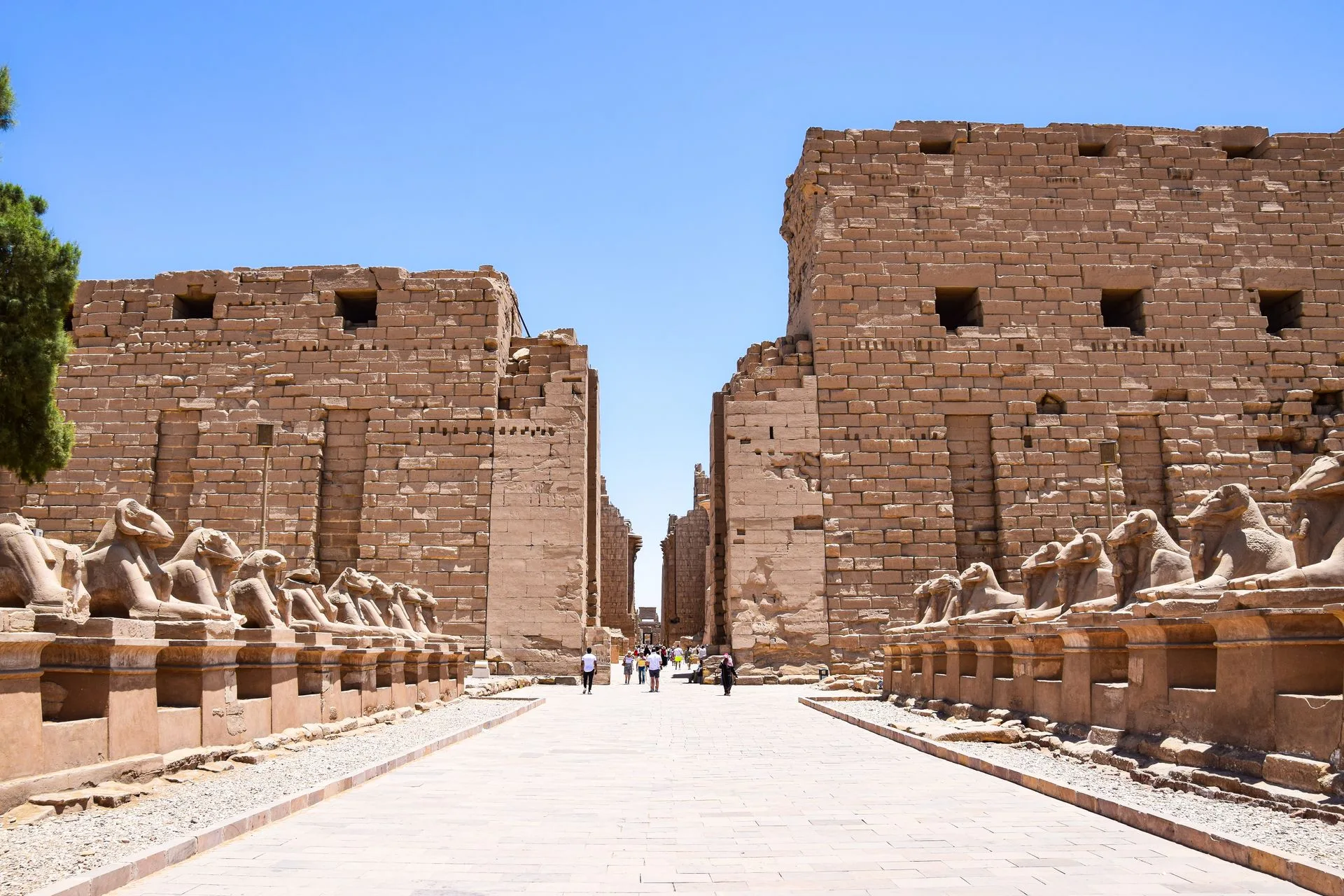 Karnak Temple columns in Luxor on Day 3 of Egypt Family Tour