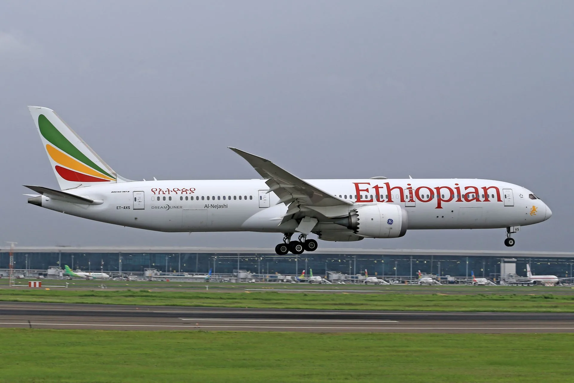 Farewell Ethiopia departure - Day 9 of Ethiopia Family Tour
