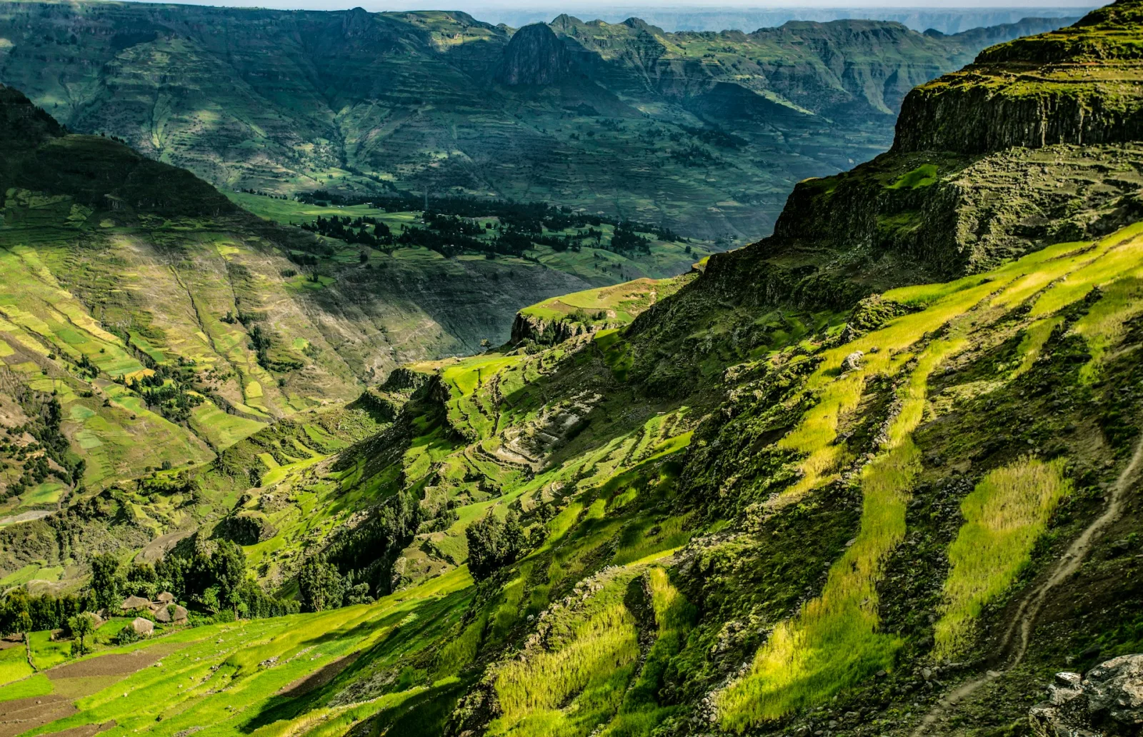 Ethiopia Family Tour Package - 9 Days & 8 Nights tour package