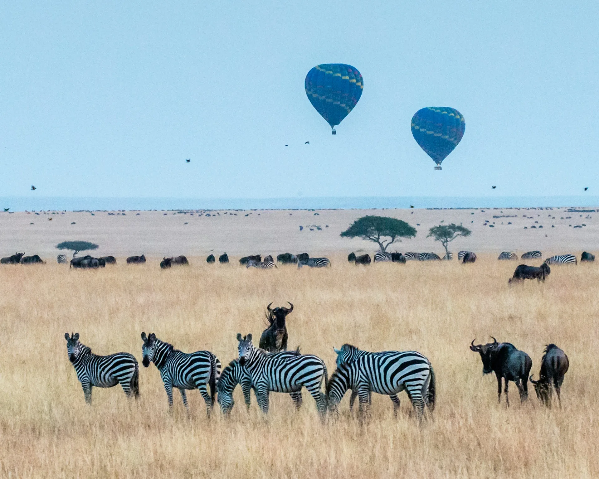 Maasai Mara - Day 3 of Kenya Family Tour Package