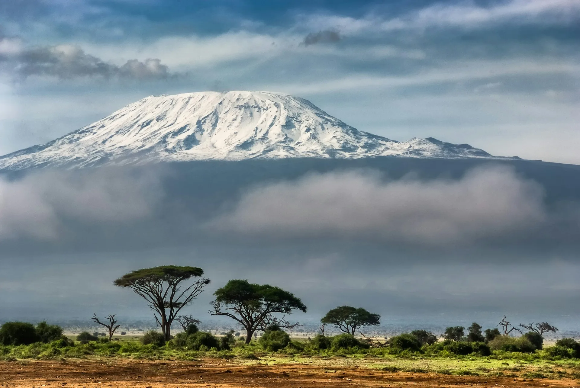 Amboseli elephants - Day 9 of Kenya Family Tour Package