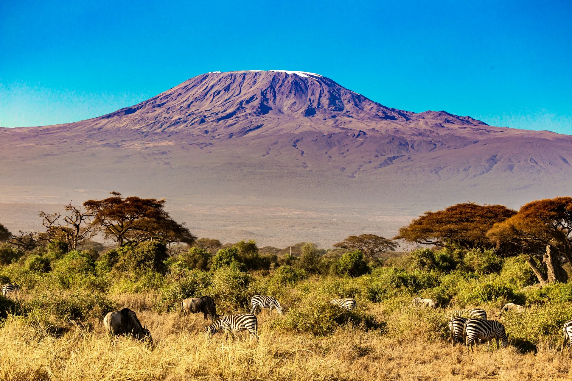 Amboseli with Kilimanjaro