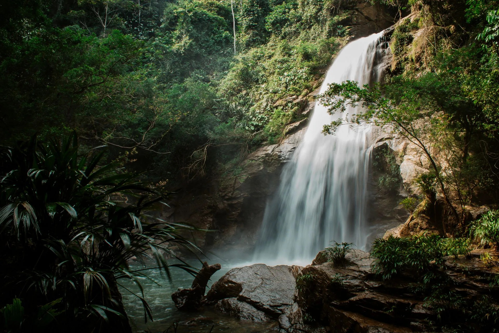 Waterfall cascade in Mantadia rainforest with lush surrounding vegetation