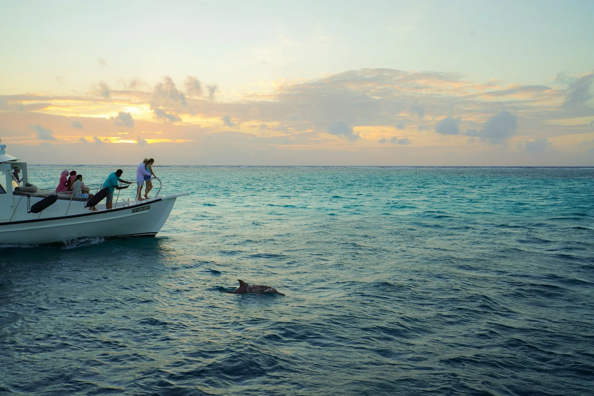 Dolphin watching photography in Maldives