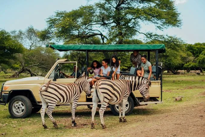 Casela Nature Park Safari wildlife encounters - Day 5 of Mauritius Family Tour Package