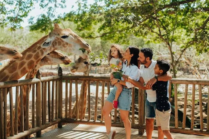 Casela Nature Park with safari animals