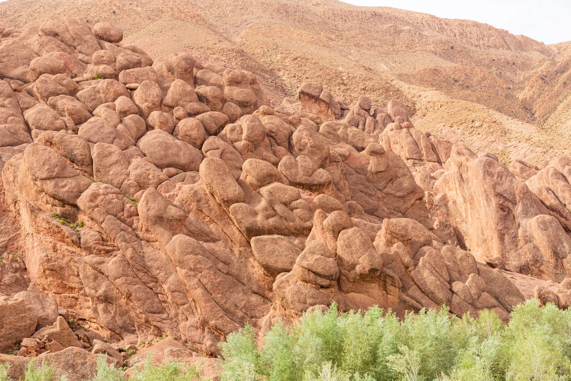 Todra Gorge cliffs and Dades Valley Monkey Fingers rock formations on Day 8 of Morocco Family Tour
