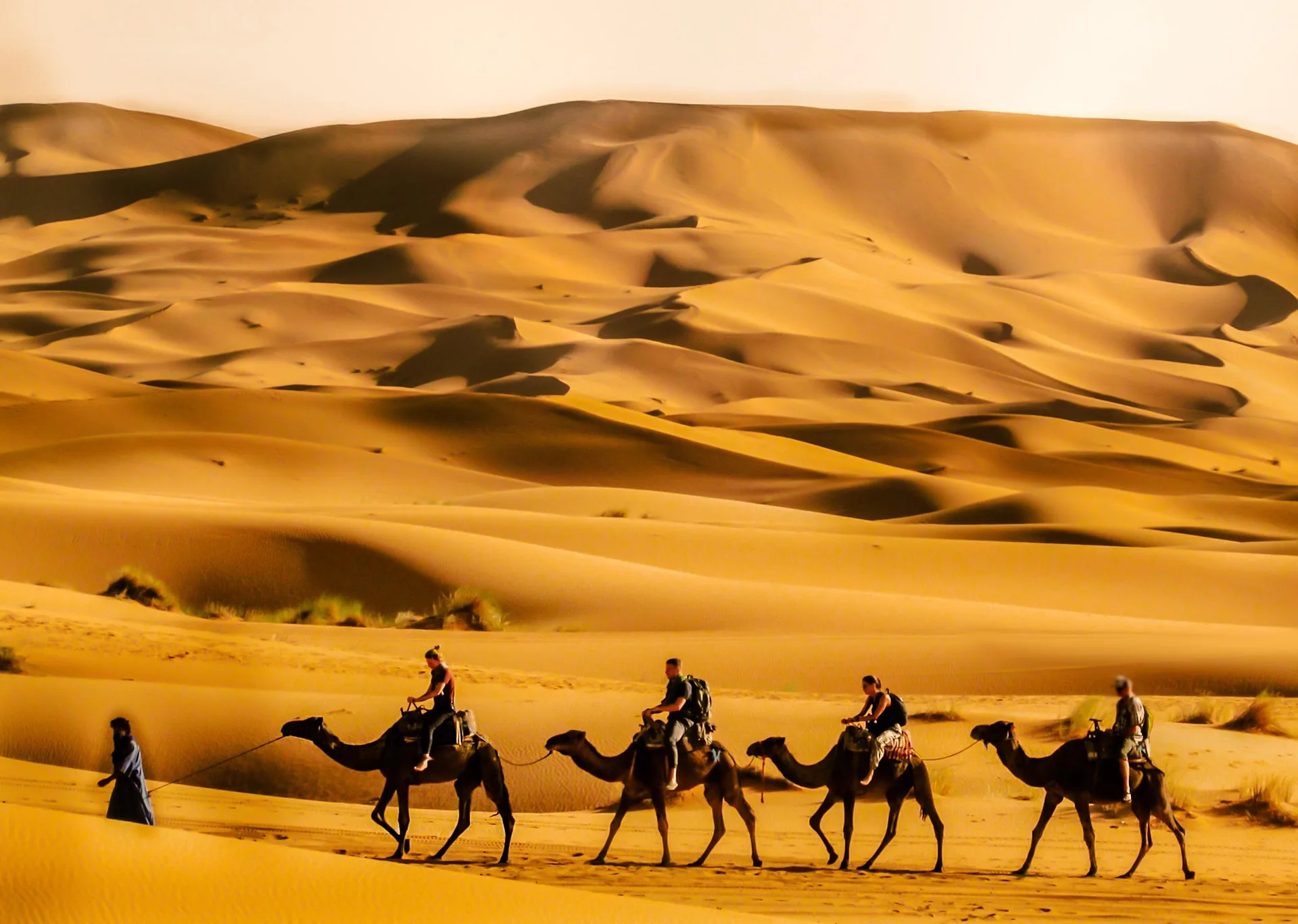 Sahara Desert sunset with golden sand dunes