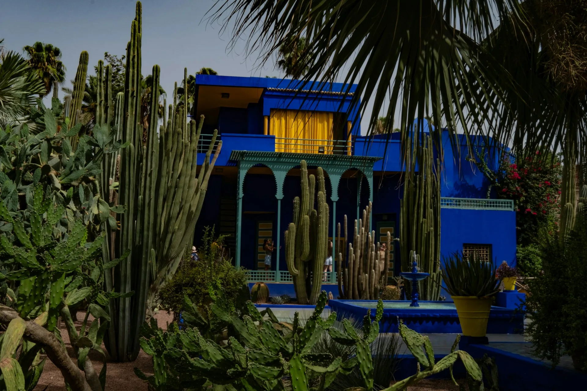 Vibrant Majorelle Garden with cobalt blue buildings and exotic plants
