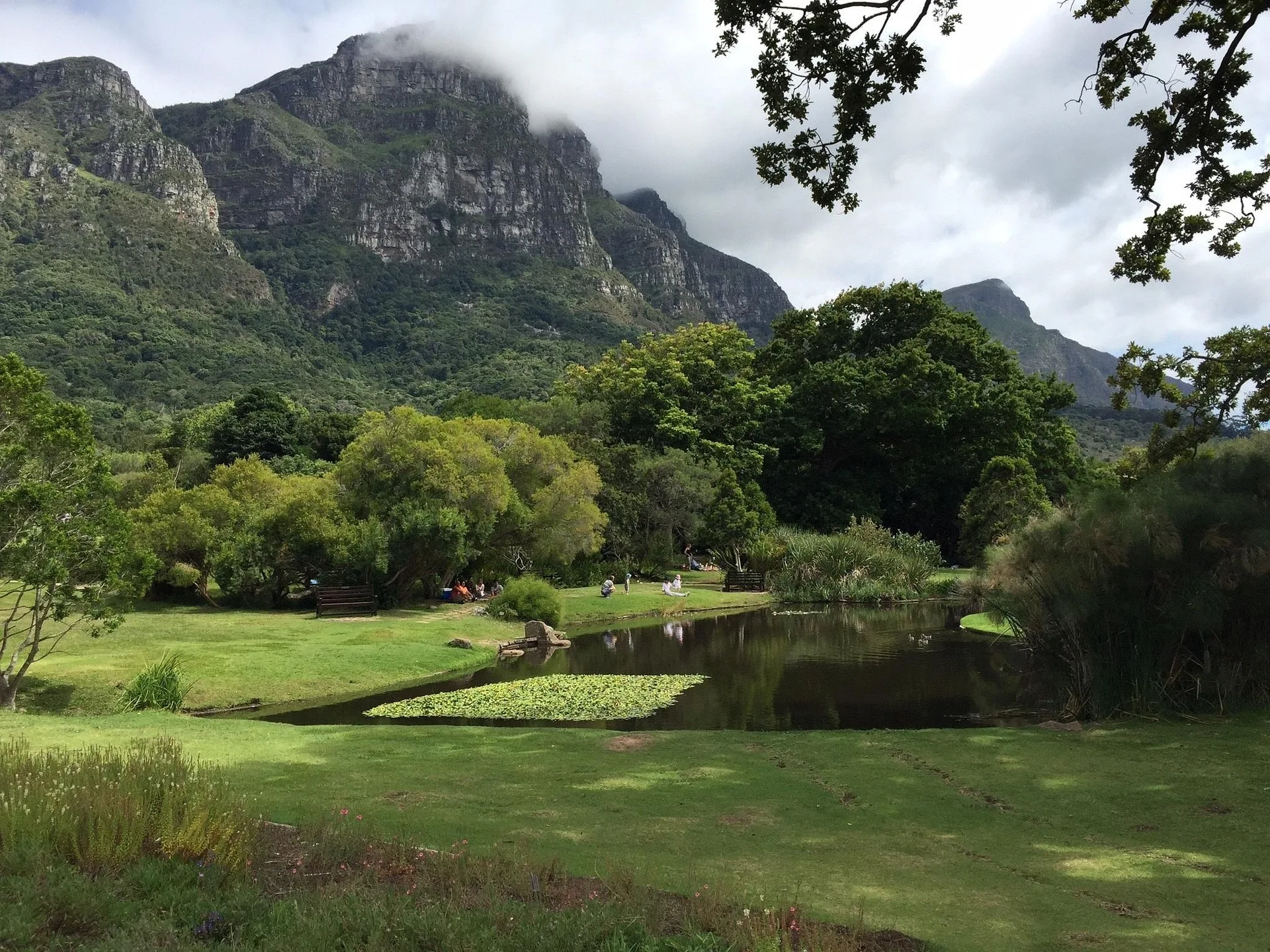 Kirstenbosch Botanical Gardens with Table Mountain backdrop - Day 5 of South Africa Family Tour