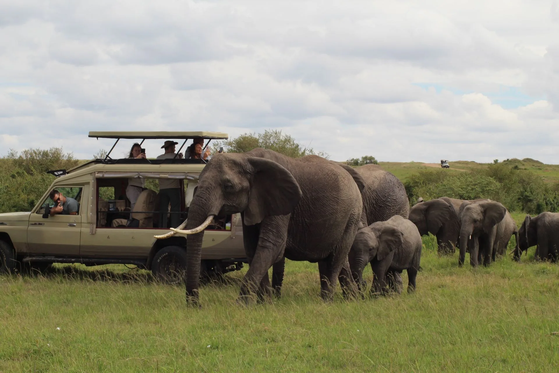 Tarangire National Park Safari - Day 2 of Tanzania Family Tour