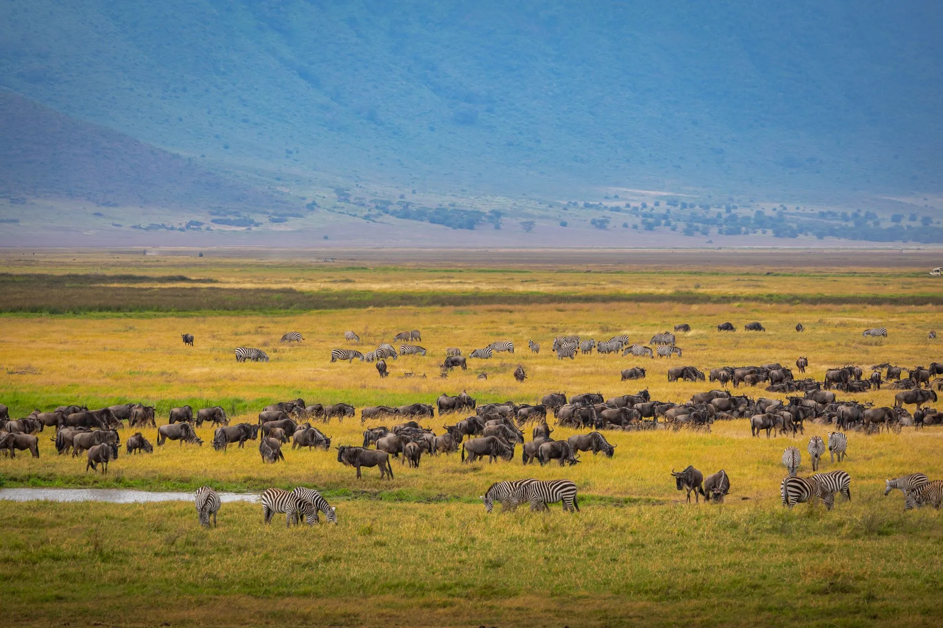 Journey to Ngorongoro Crater Rim - Day 5 of Tanzania Family Tour Package