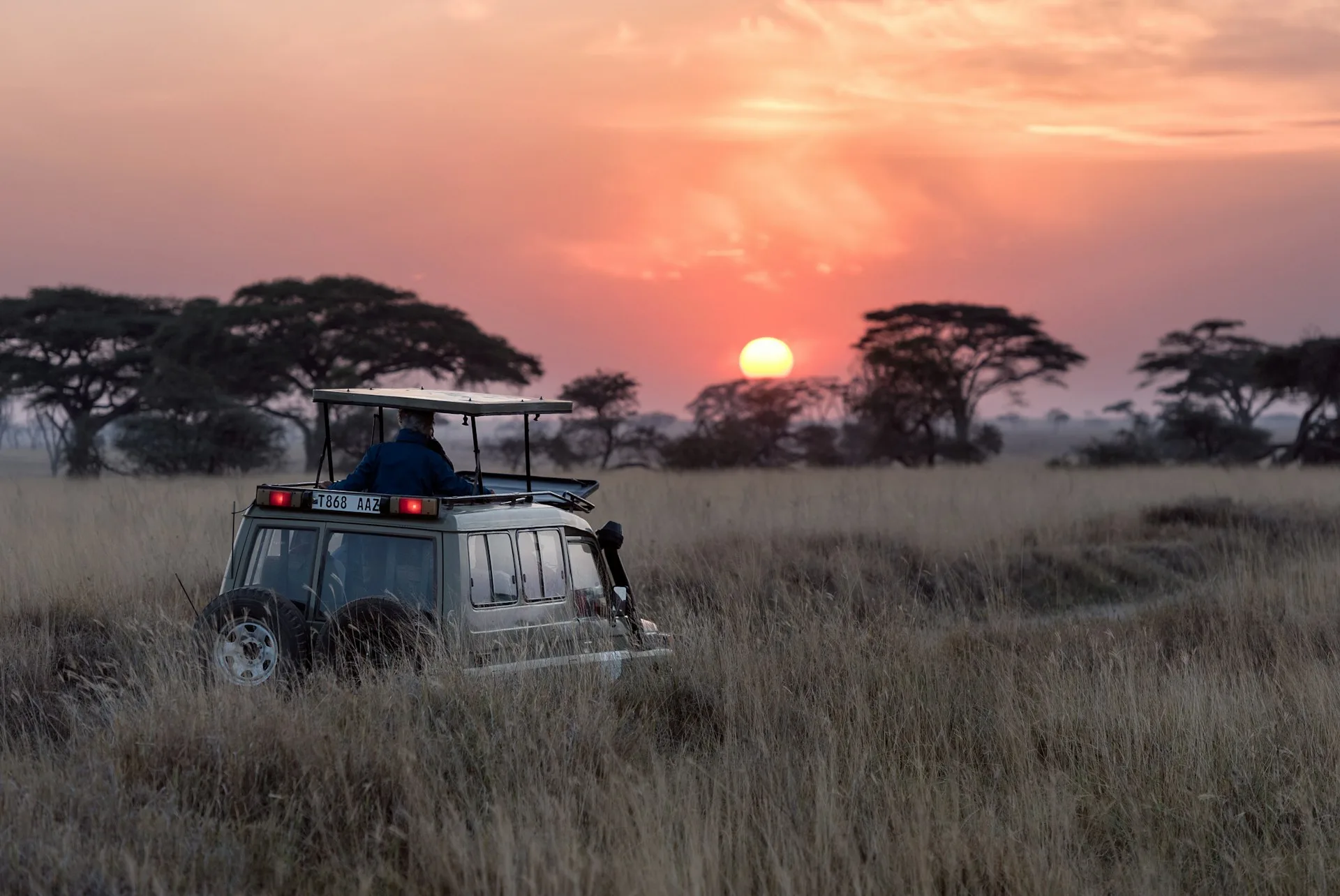 Serengeti sunrise with wildlife silhouettes and golden morning light