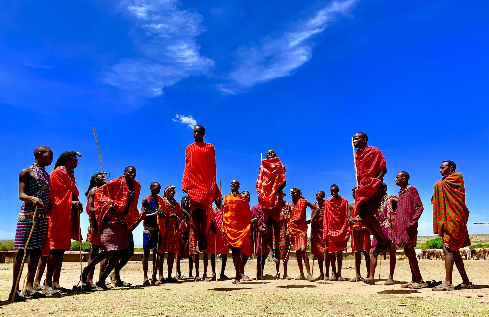 Maasai warriors in traditional red shukas performing jumping dance with beaded jewelry
