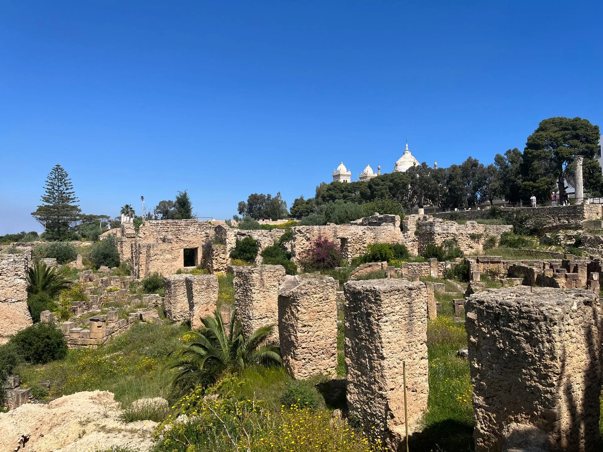 Carthage ruins and Sidi Bou Said blue-and-white village - Day 2 of Tunisia Family Tour Package