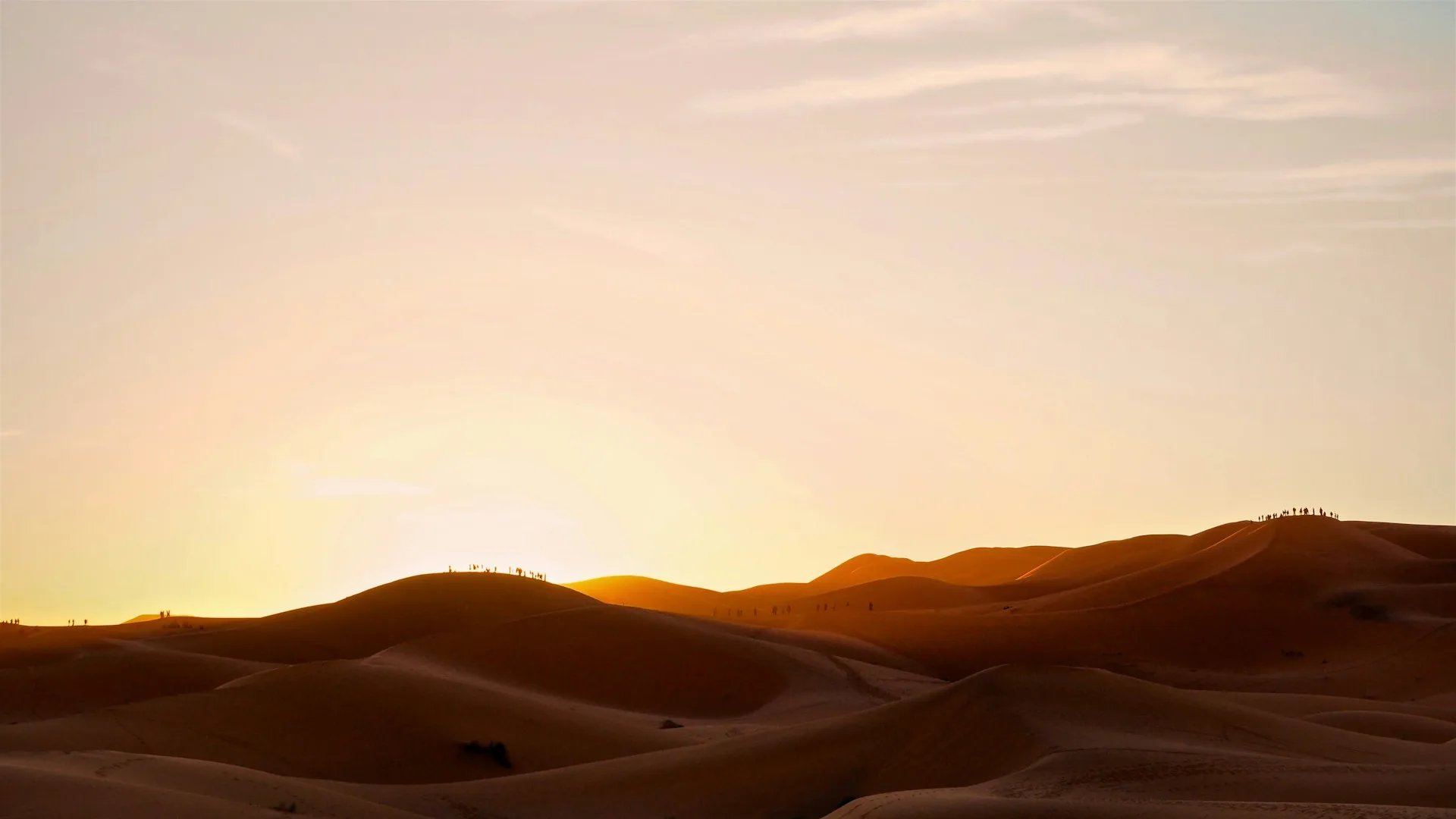 Golden Sahara Desert dunes during sunset with dramatic lighting