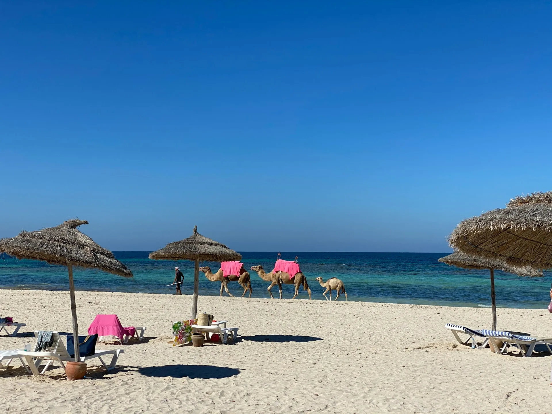 Pristine Mediterranean beach on Djerba Island with turquoise waters