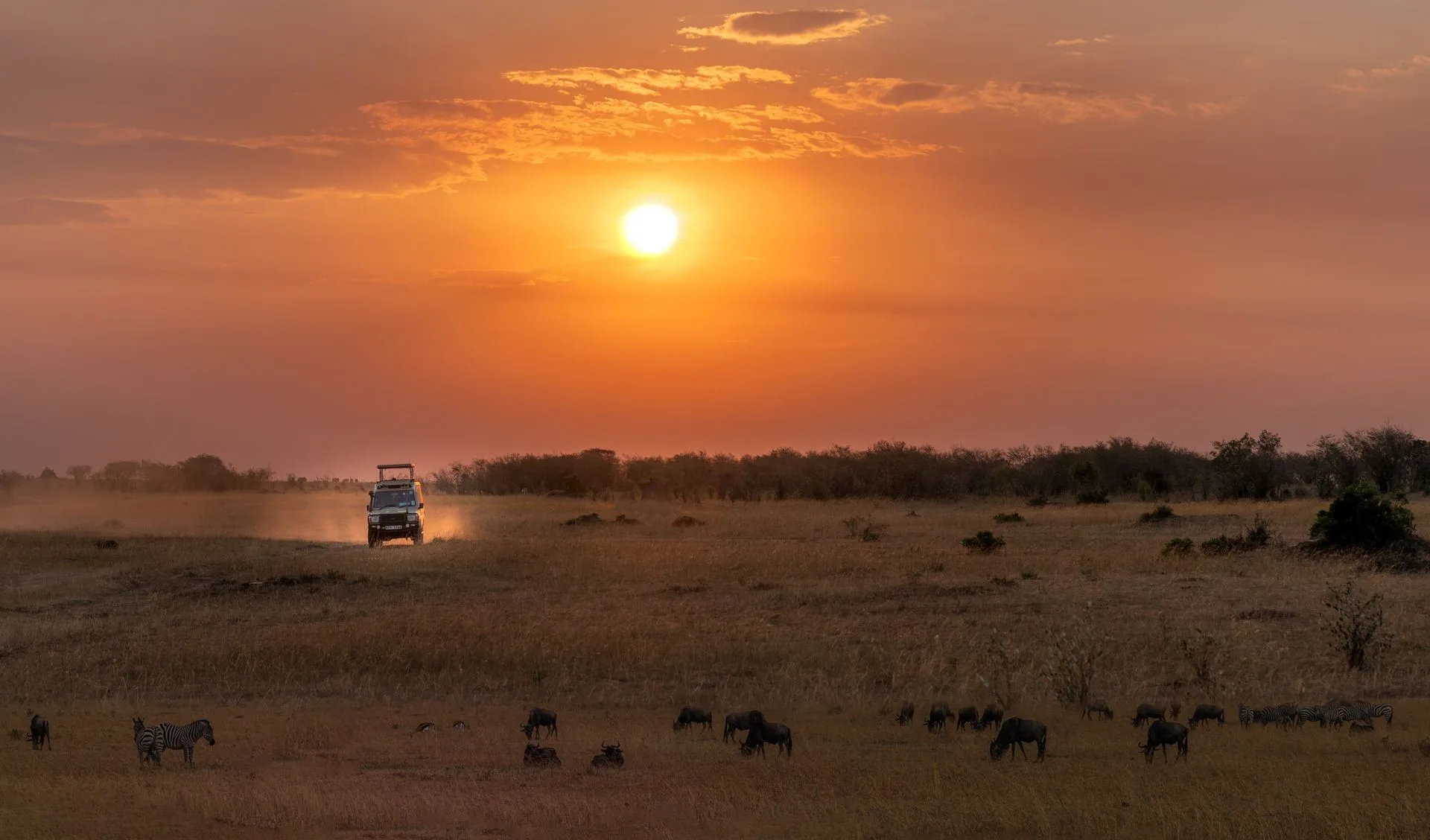 Murchison Falls game drives and boat cruise on Day 3 of Uganda Family Tour