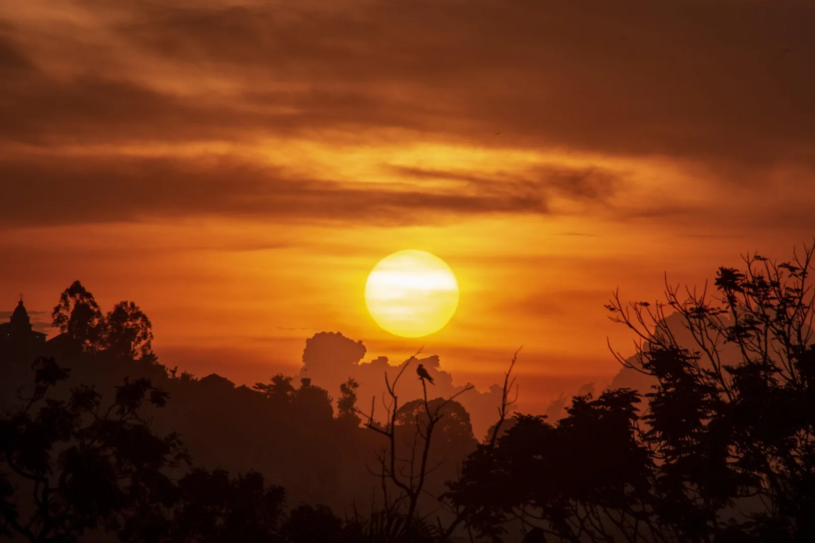 Uganda Family Tour Package - 7 Days & 6 Nights tour package
