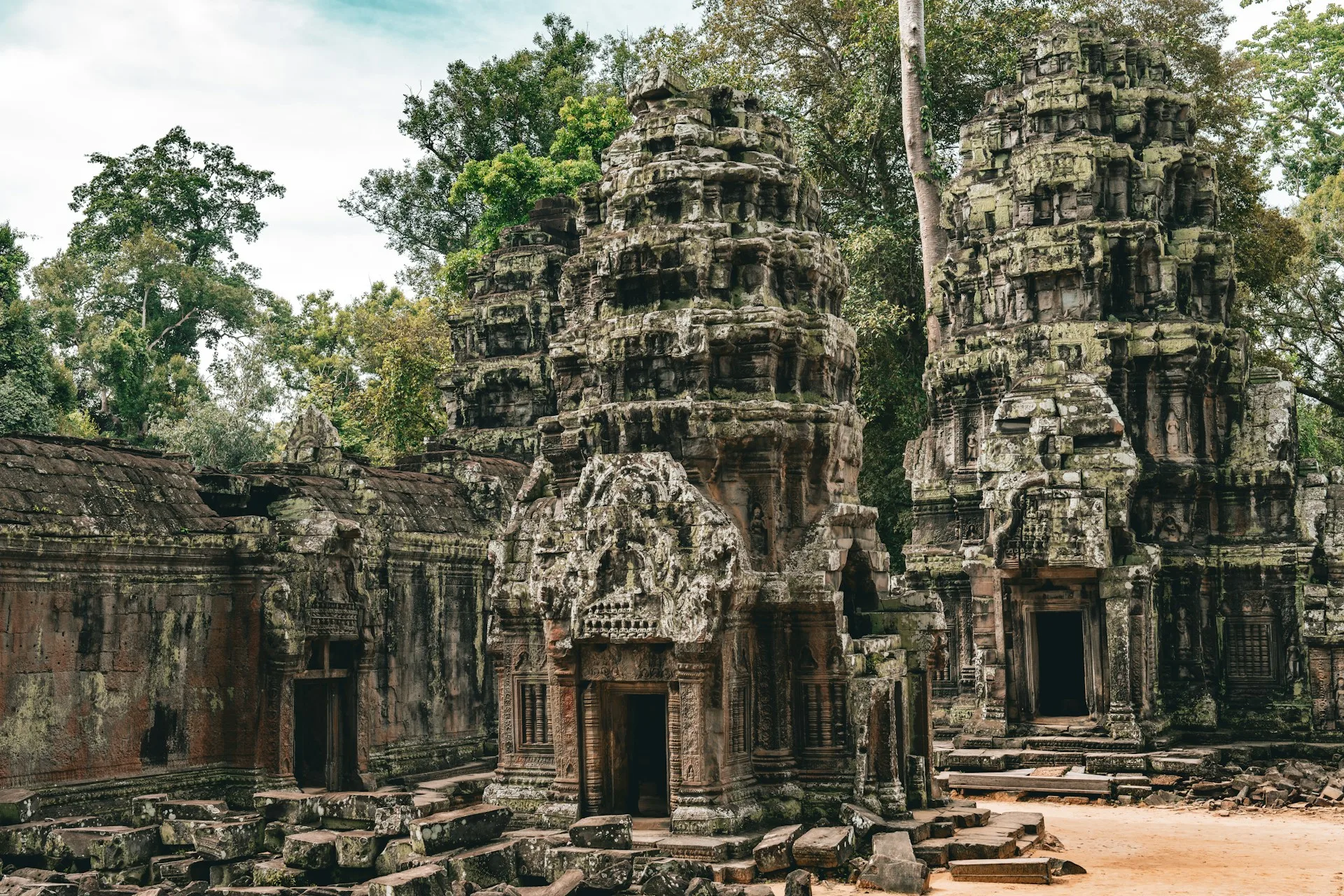 Ta Prohm jungle temple