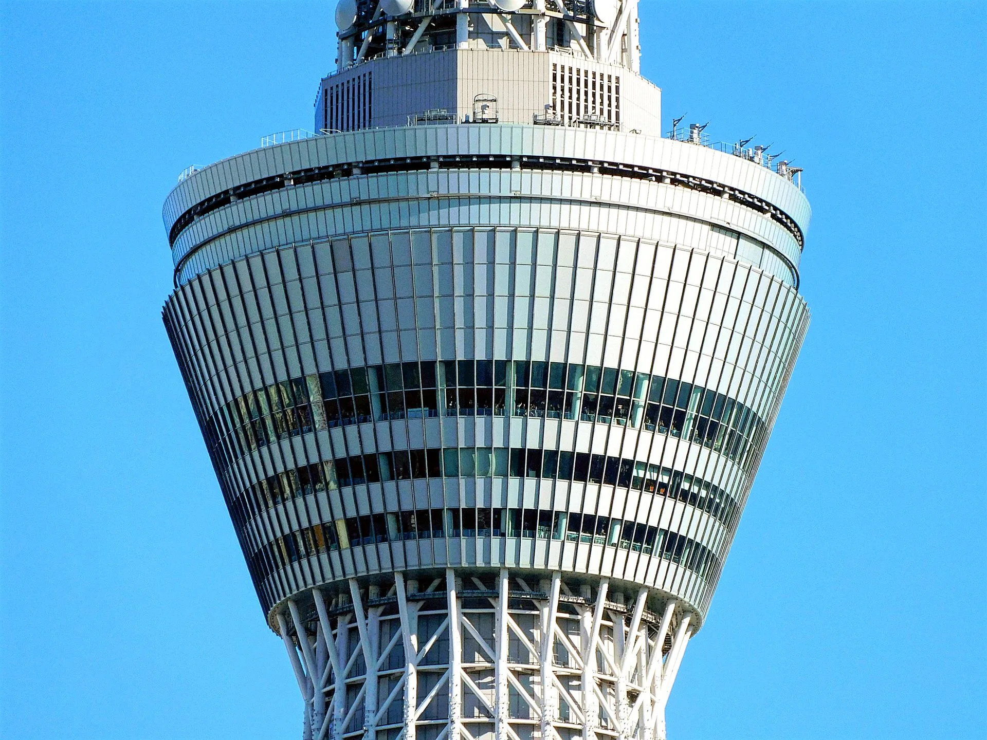 Tokyo Skytree views and traditional tea ceremony on Day 3 of Japan Family Tour