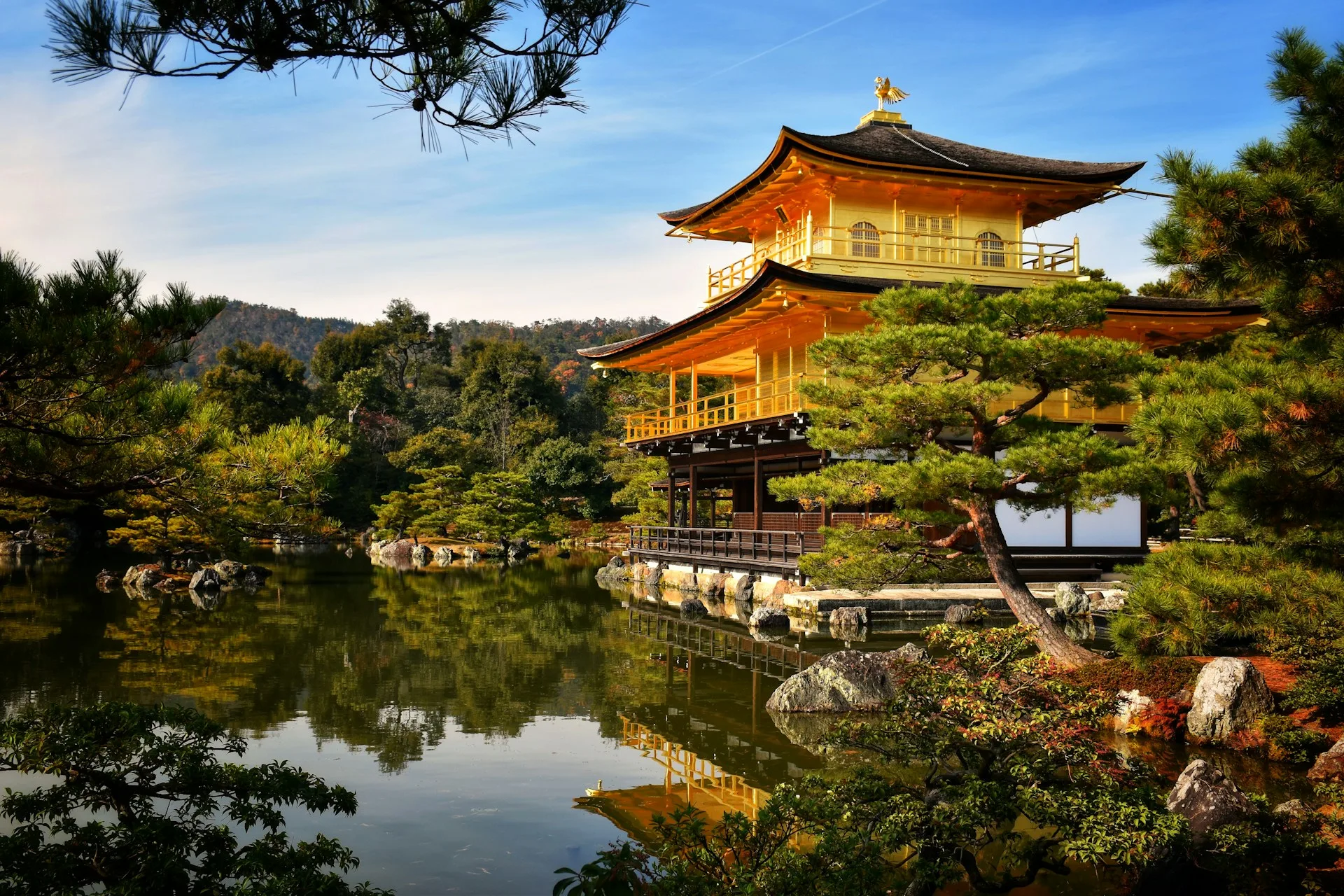 Kinkaku-ji Golden Pavilion and Arashiyama Bamboo Grove in Kyoto on Day 6 of Japan Family Tour