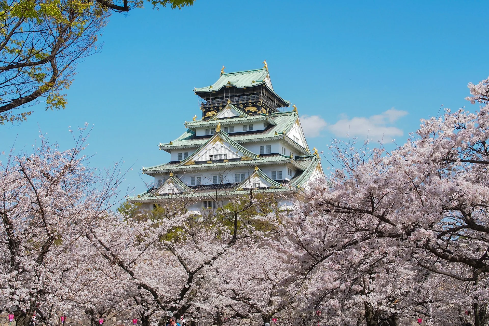 Osaka Castle surrounded by cherry blossoms
