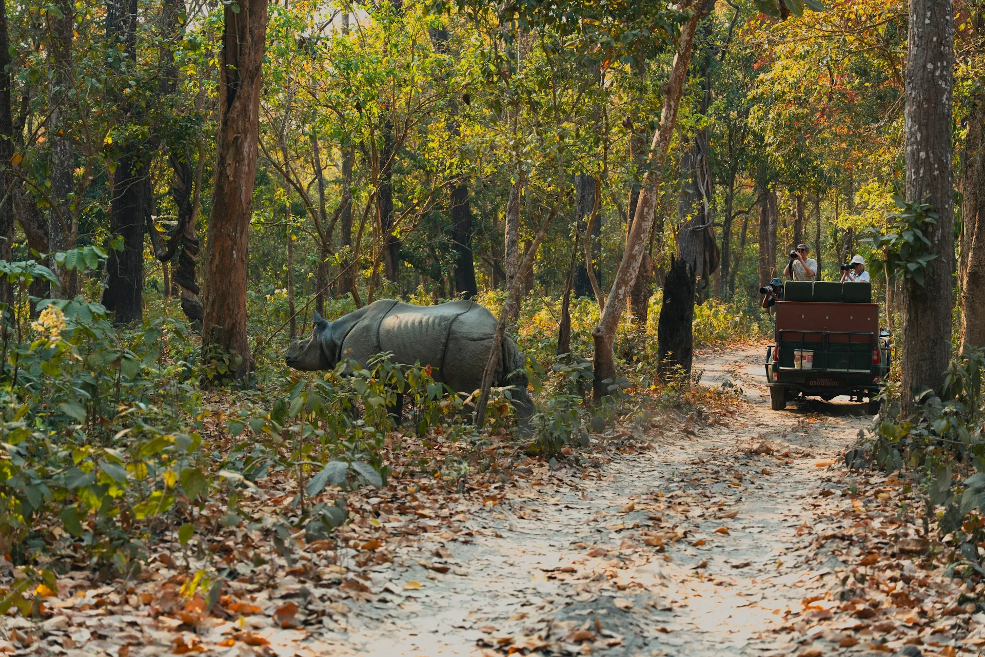 Chitwan National Park Safari wildlife - Day 6 of Nepal Family Tour