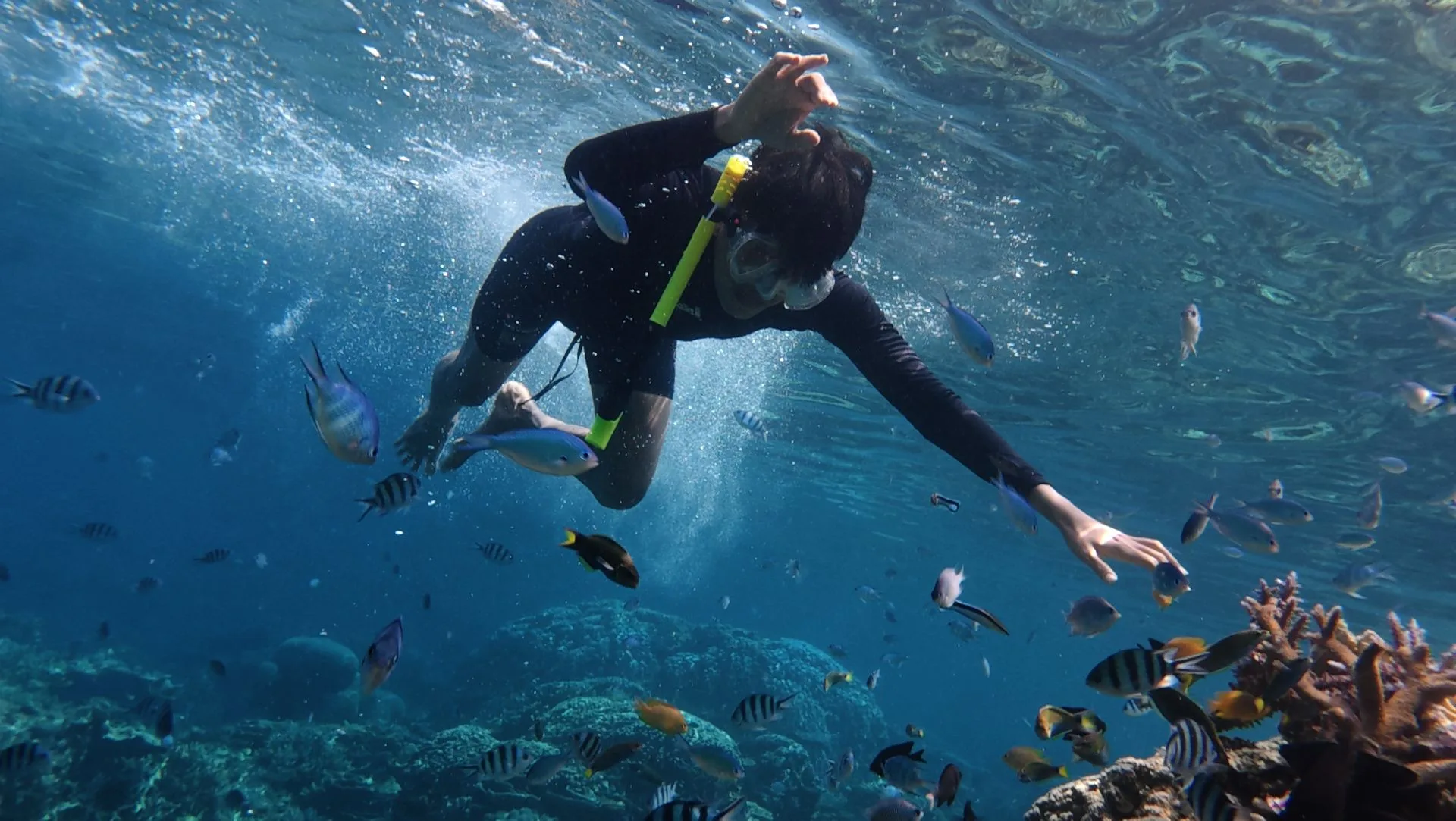 Island hopping and snorkeling adventure in Bohol - Day 7 of Philippines Family Tour