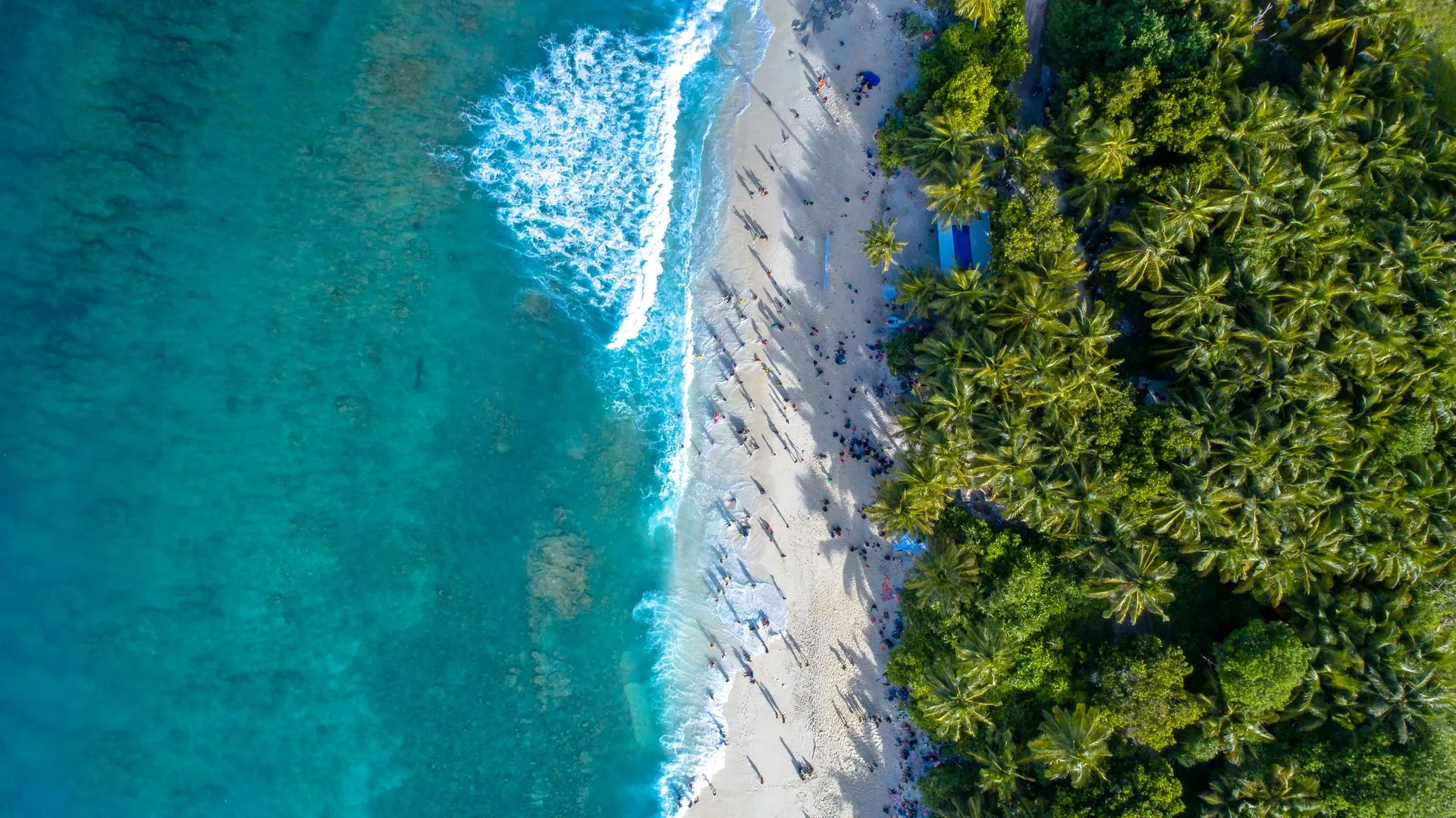 Alona Beach white sand and turquoise waters