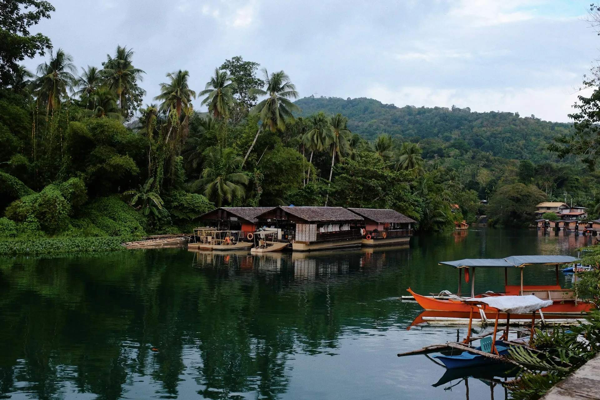 Loboc River cruise scenery