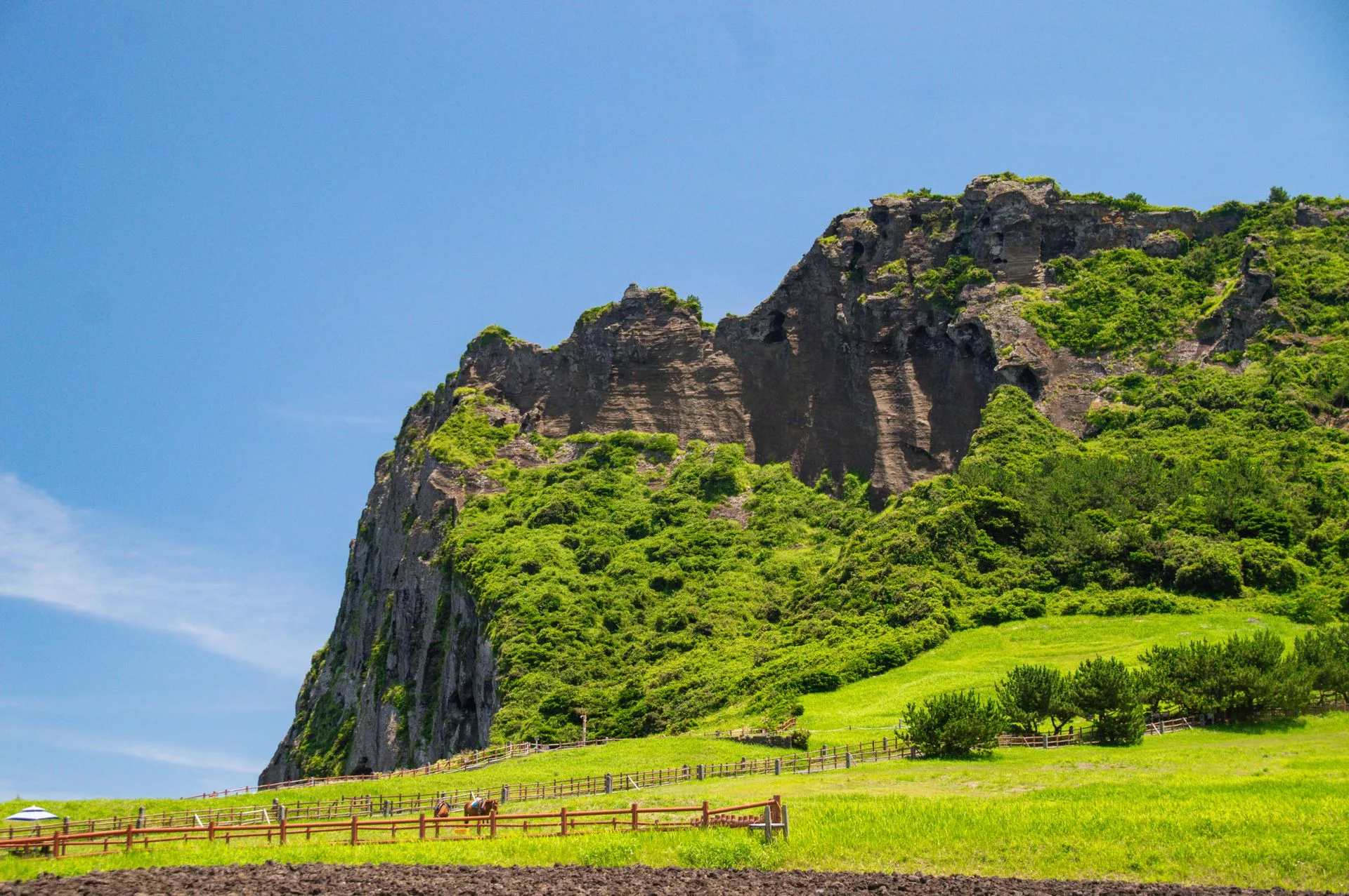Seongsan Ilchulbong volcanic crater