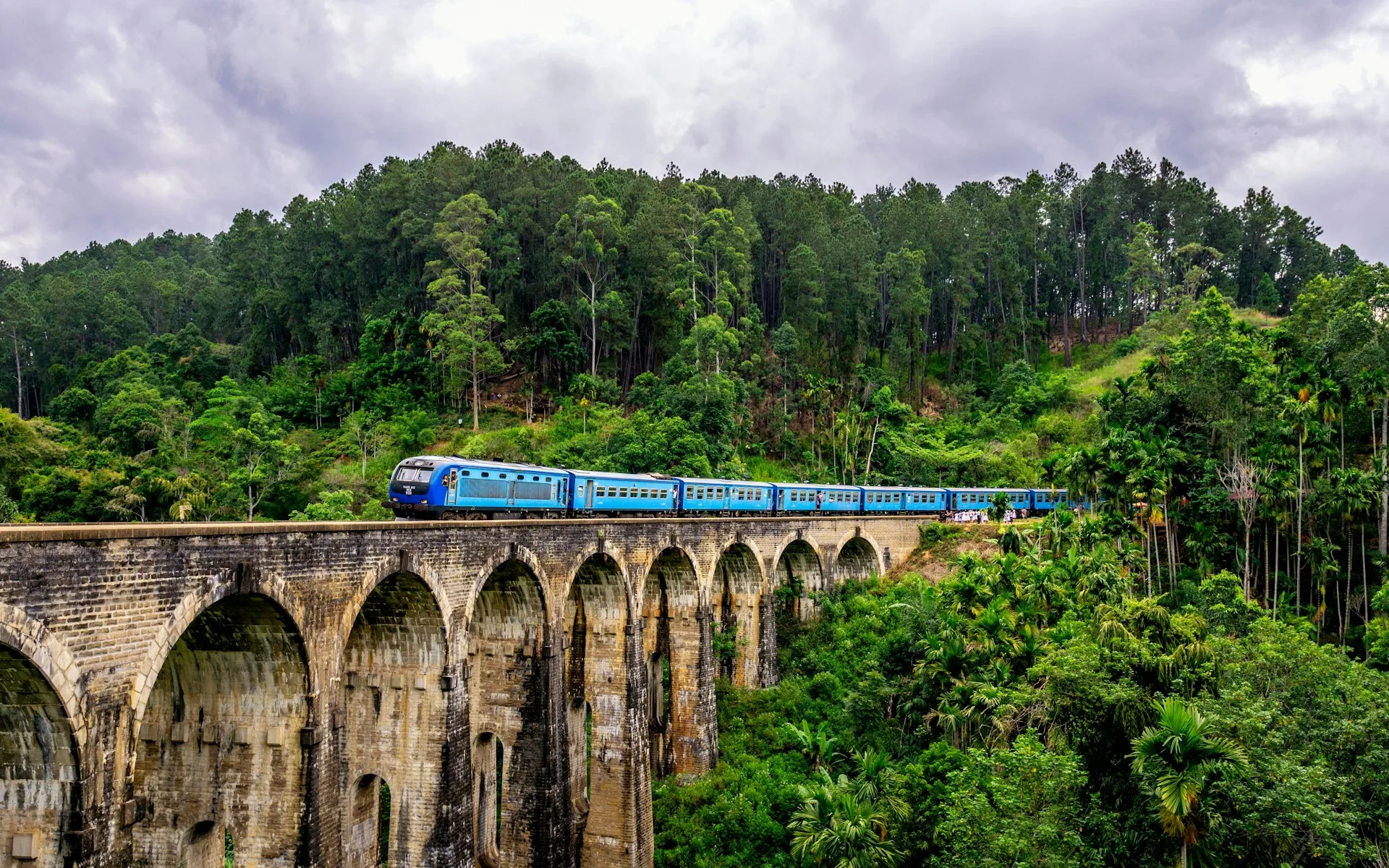 Scenic train and Horton Plains on Day 5 of Sri Lanka Family Tour