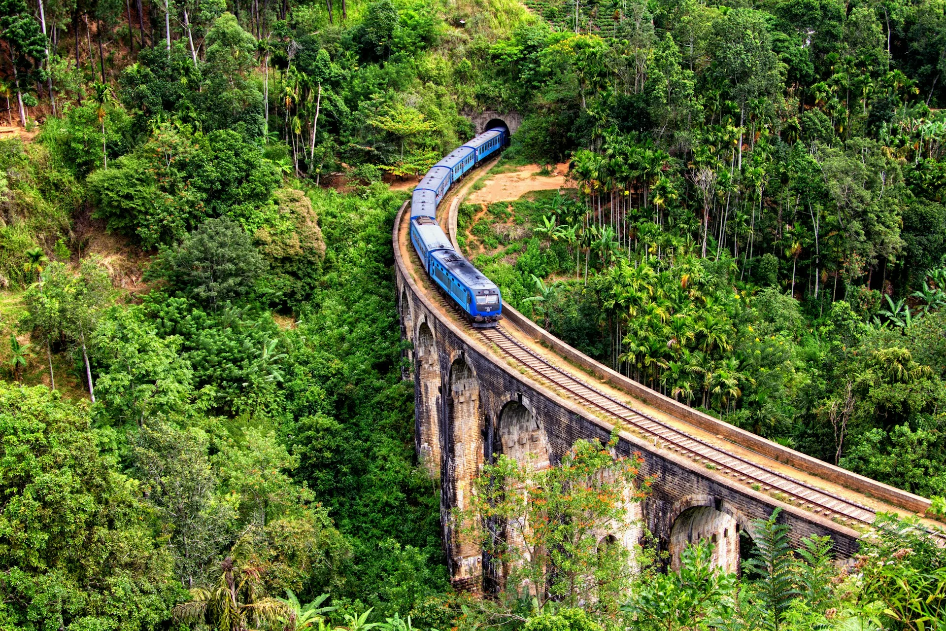 Scenic train through Sri Lankan tea plantations