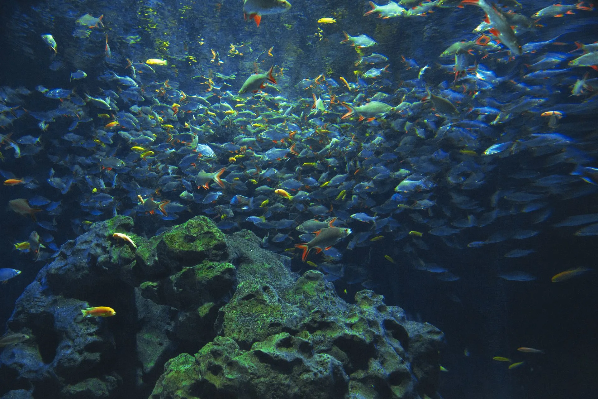 Free Day for Leisure and Exploration on Day 12 of Thailand Family Tour