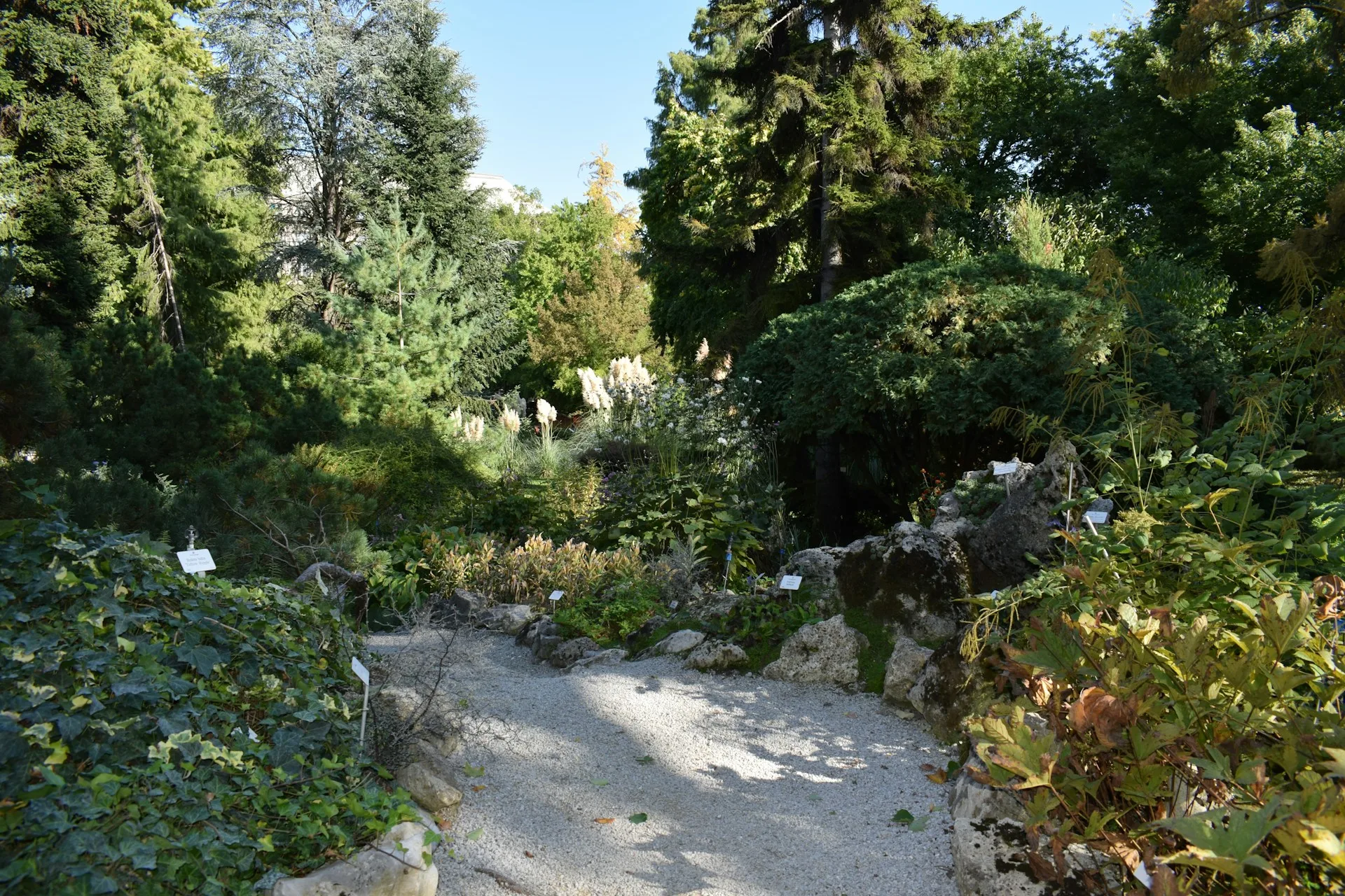 Lokrum Island botanical gardens with peacock and monastery ruins