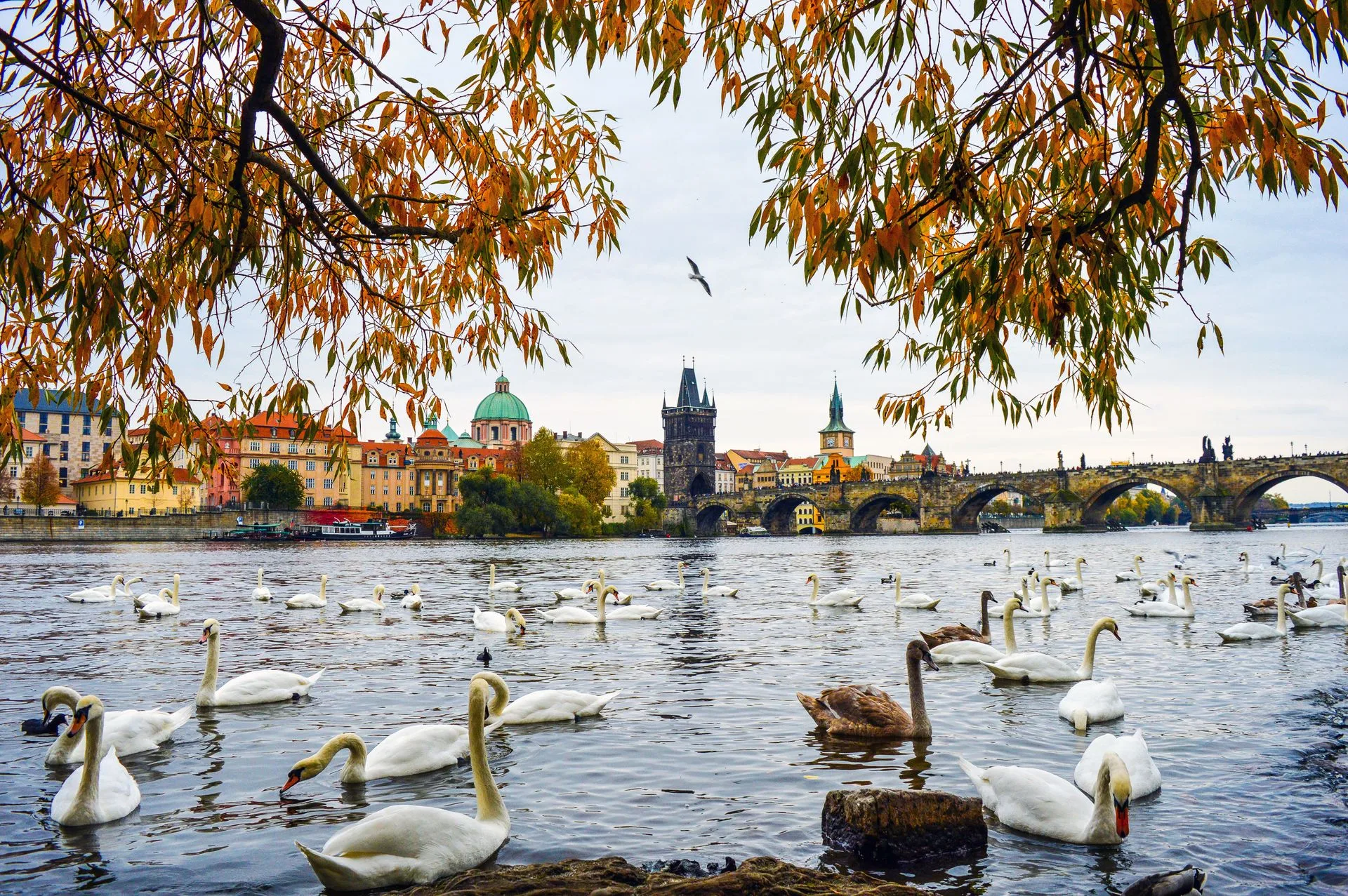 Vltava River - Day 3 of Czech Republic Family Tour