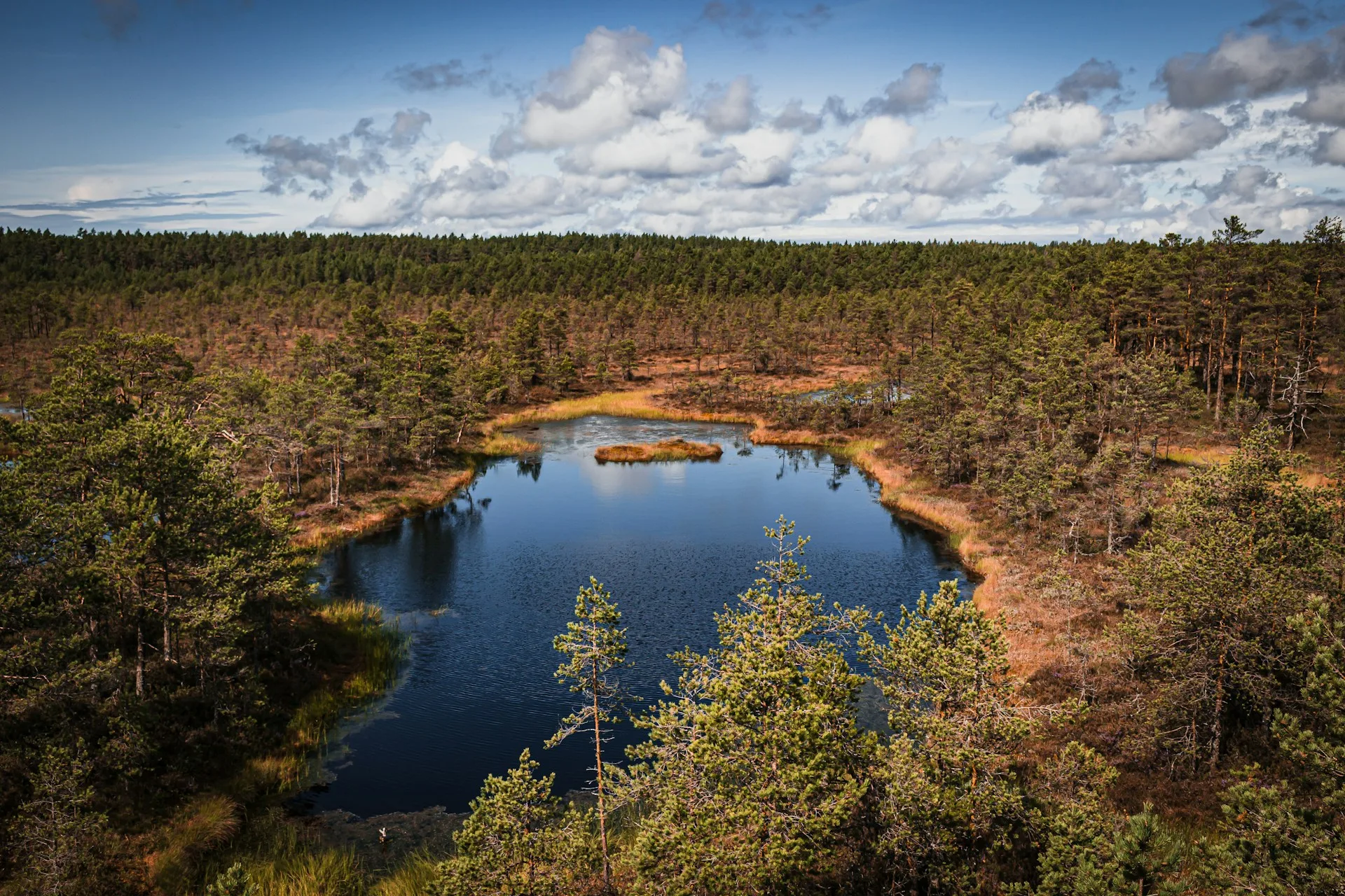 Lahemaa National Park - Day 8 of Estonia Family Tour