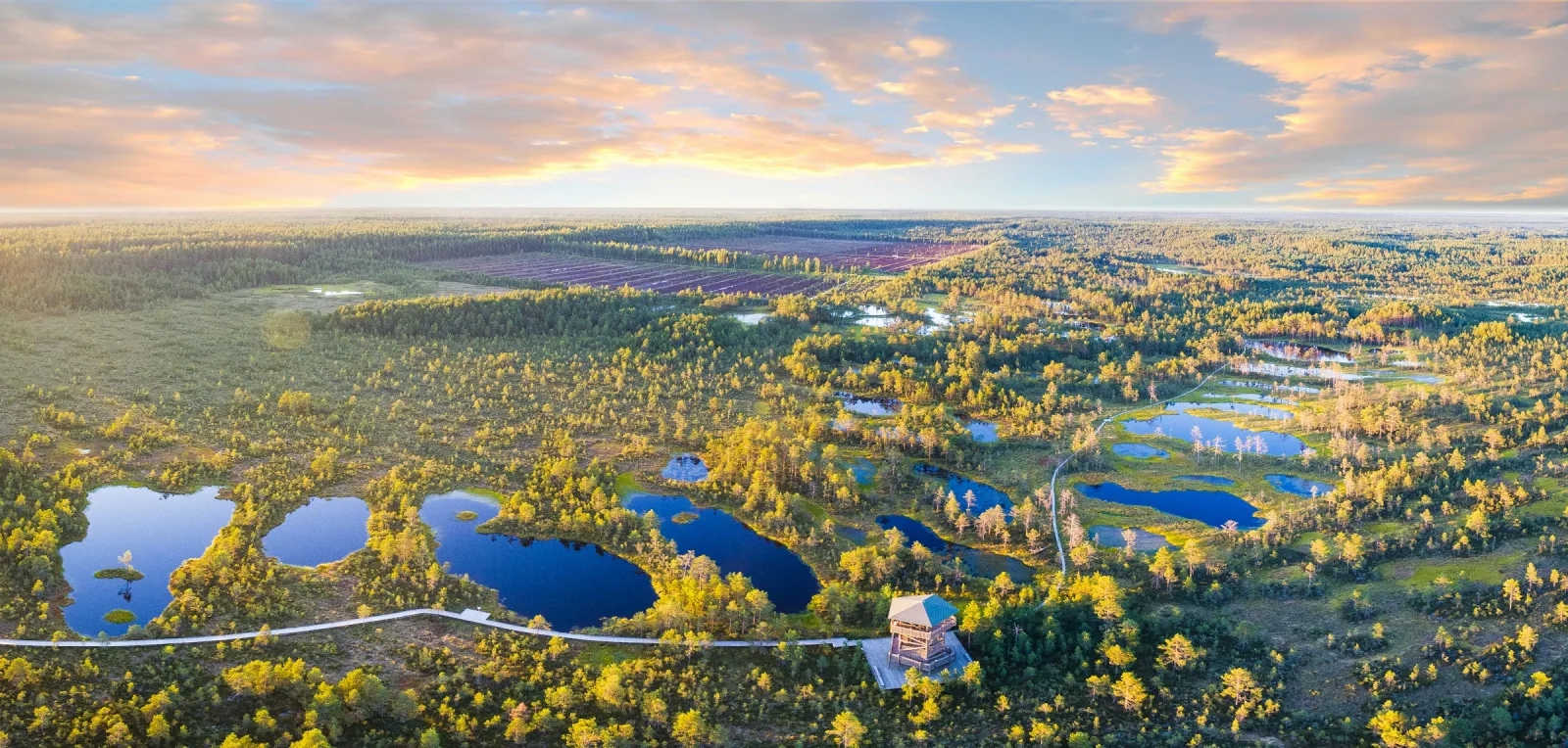 Estonia Family Tour Package - 10 Days & 9 Nights tour package
