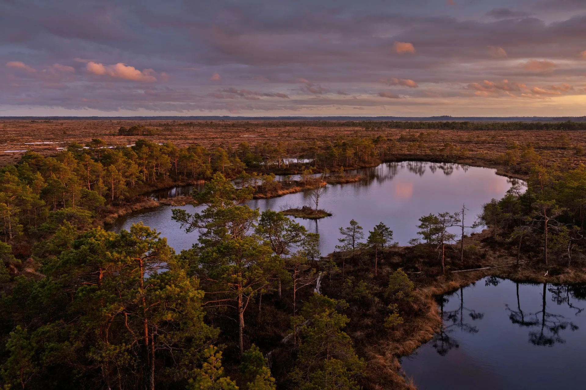 Viru Bog Lahemaa