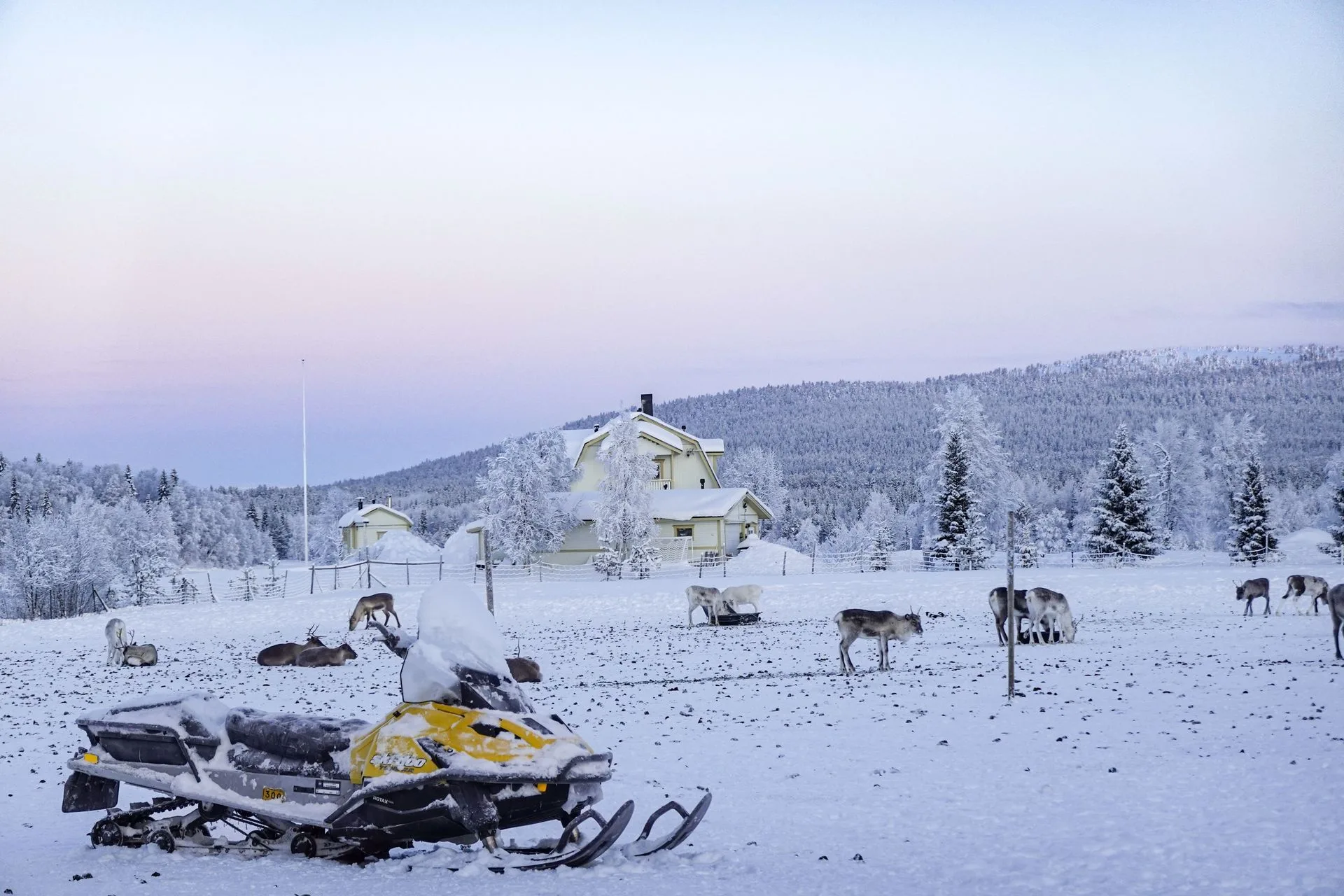 Reindeer farm Sami culture photography in Lapland Finland winter