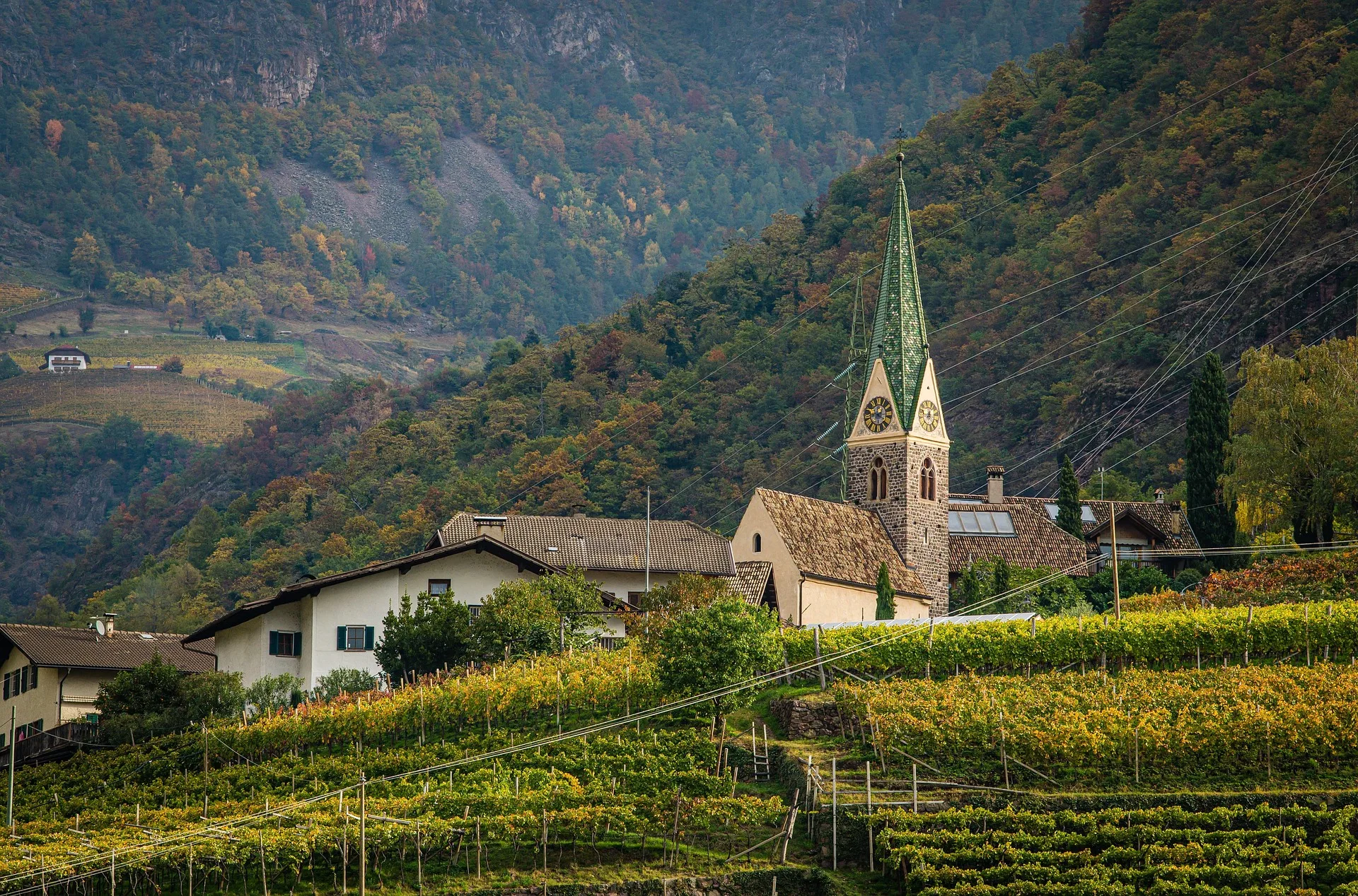 Kakheti vineyards and Caucasus mountains
