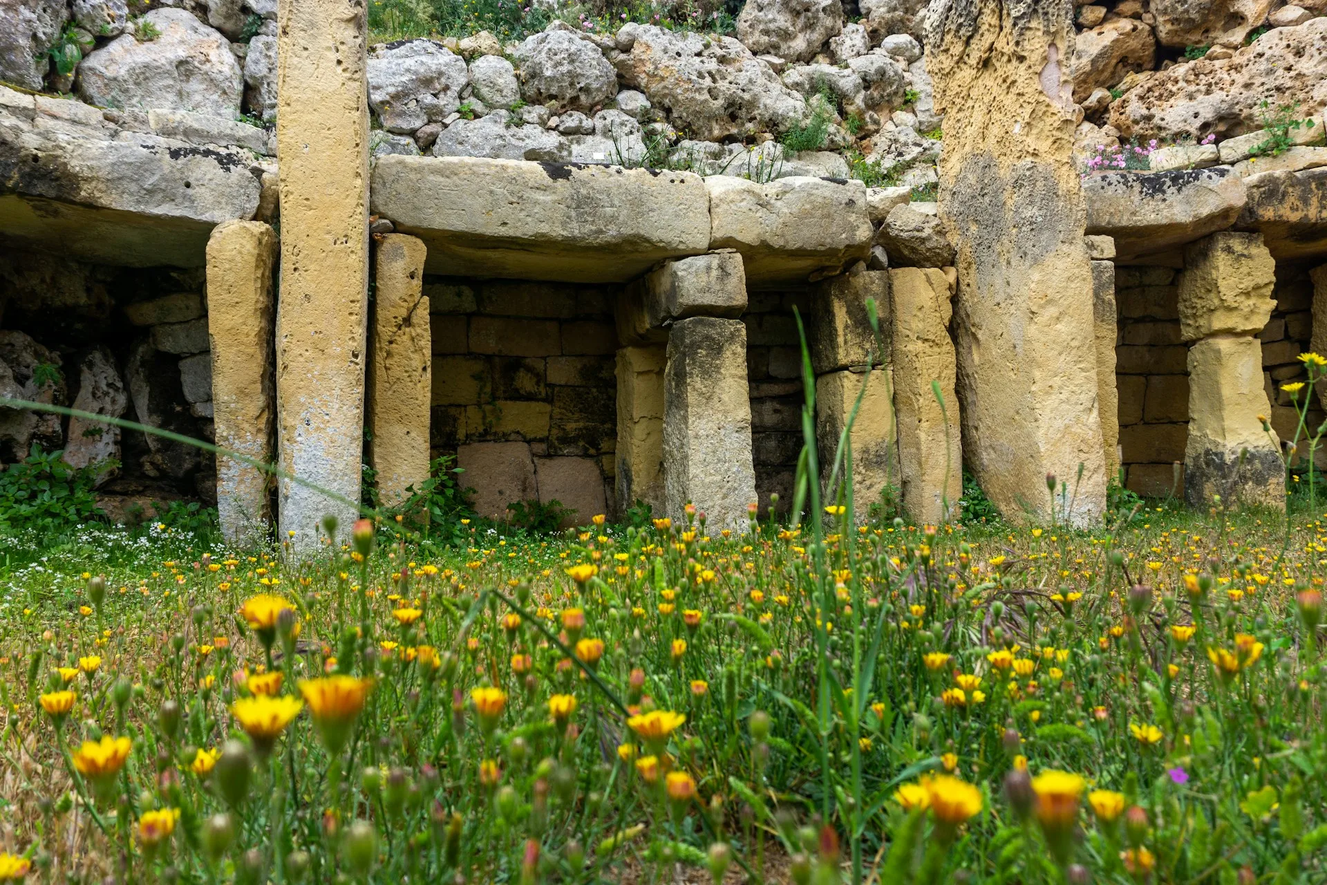 Ġgantija Temples - Day 7 of Malta Family Tour