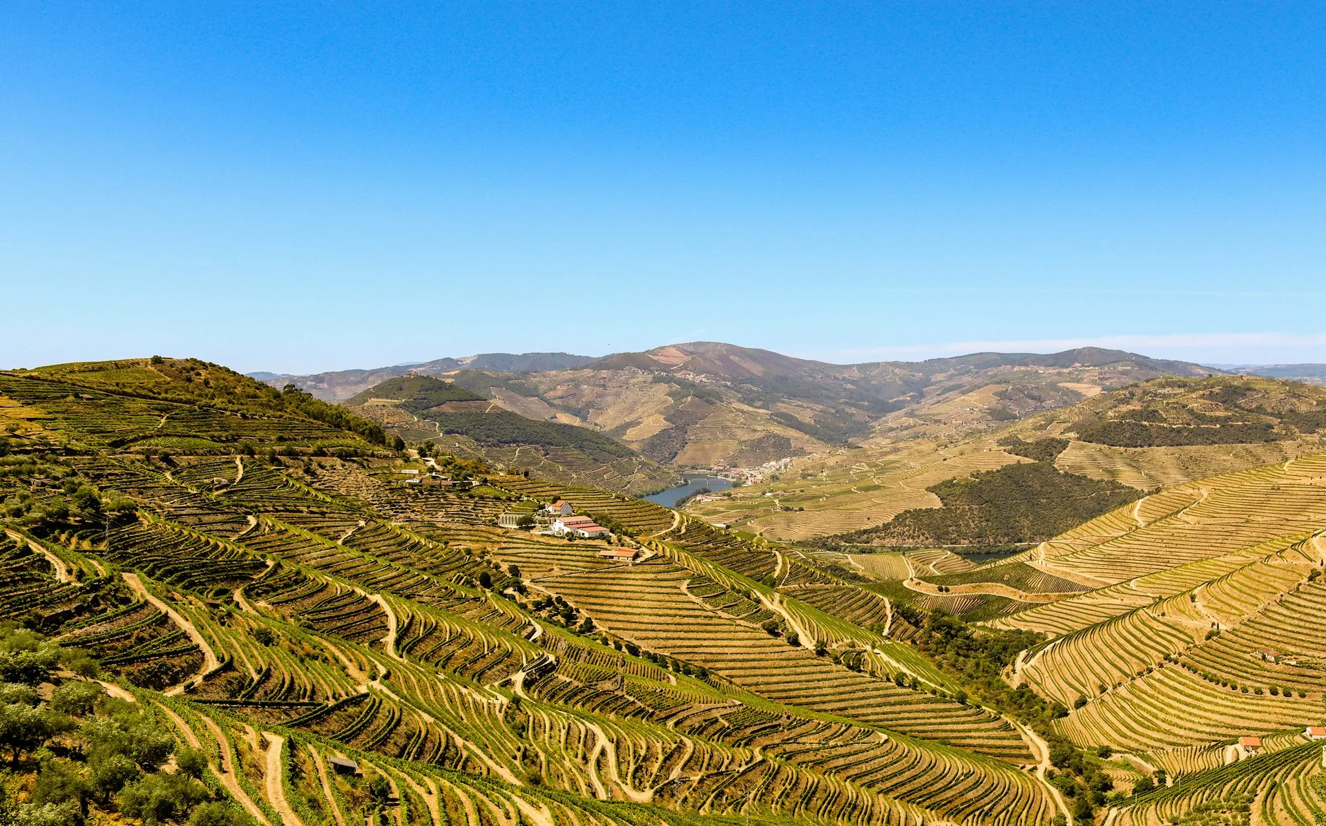 Douro Valley Experience - Day 7 of Portugal Family Tour