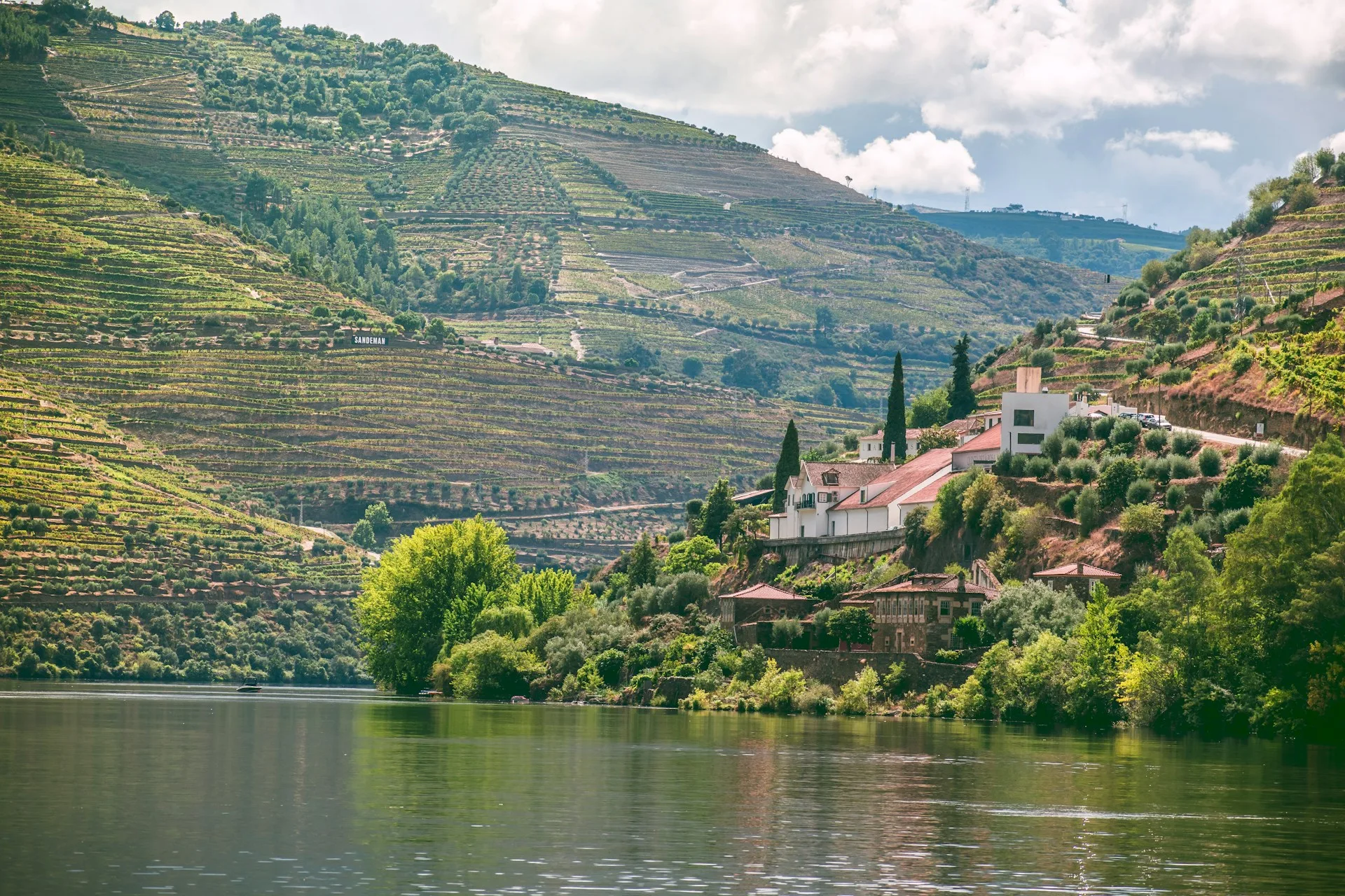 Terraced vineyards cascading down hillsides in the scenic Douro Valley