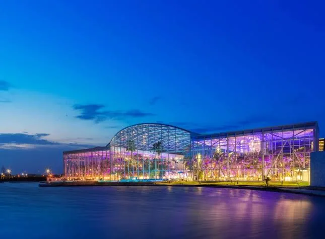 Therme Bucuresti - Day 9 of Romania Family Tour